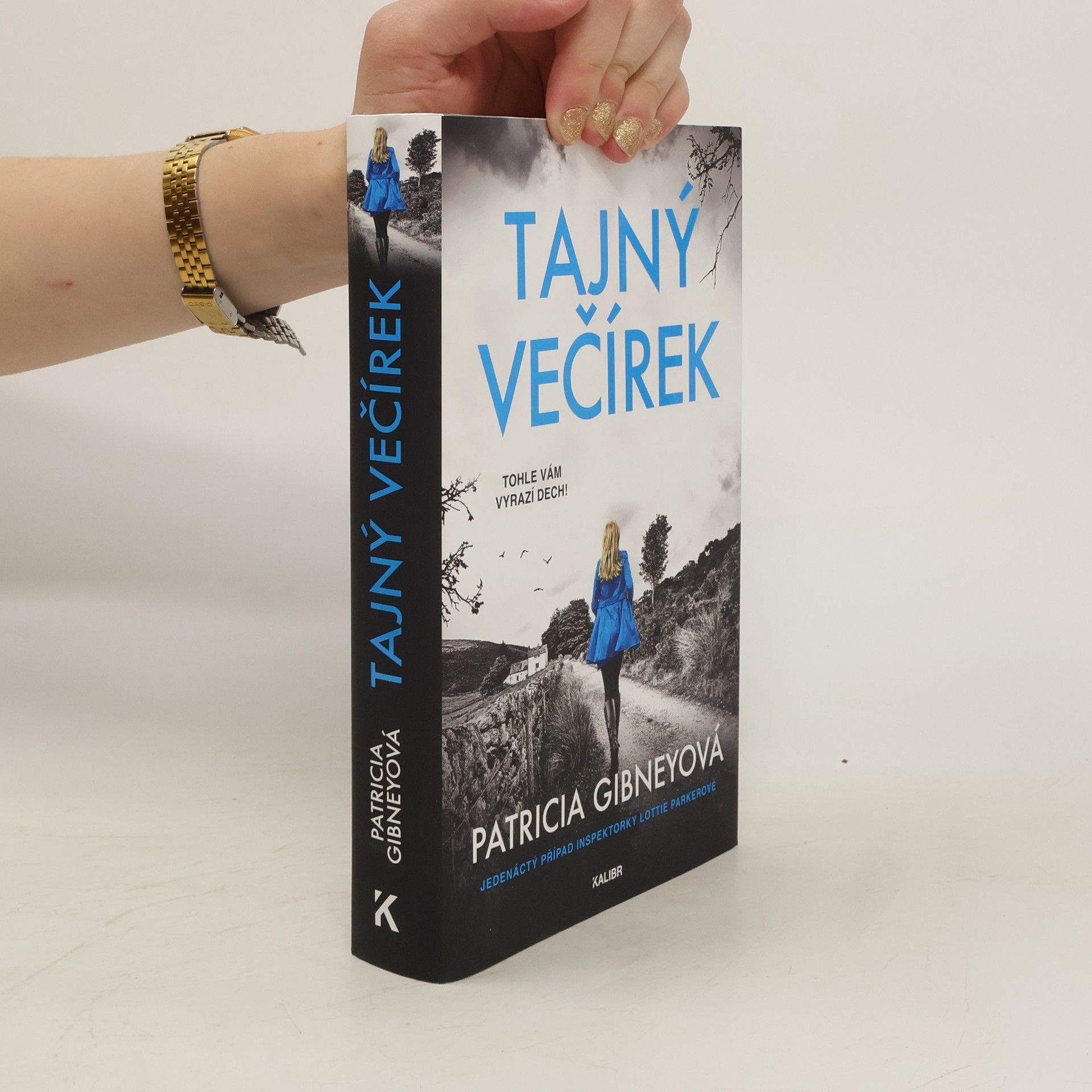 Patricia Gibney Tajný večírek
