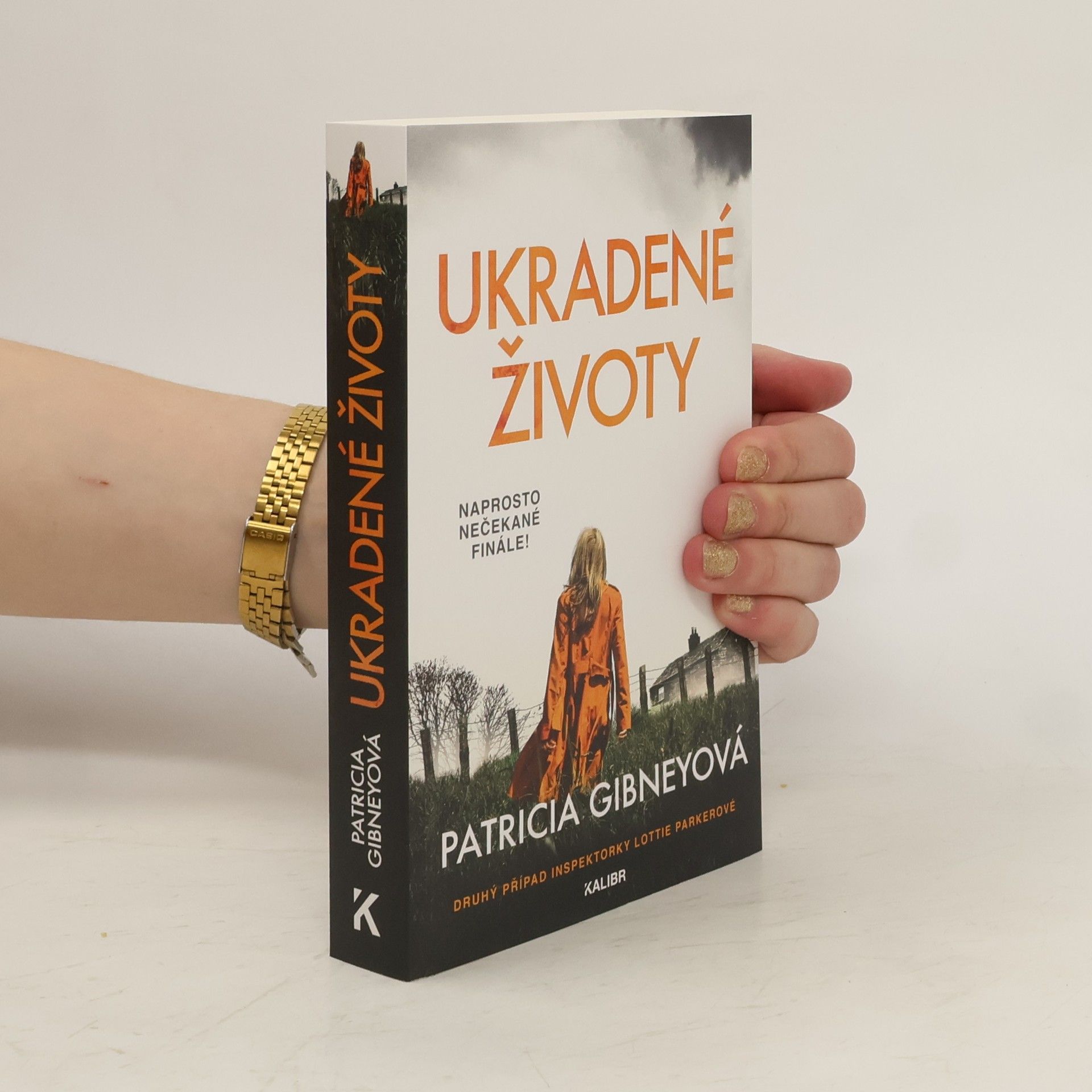 Patricia Gibney Ukradené životy