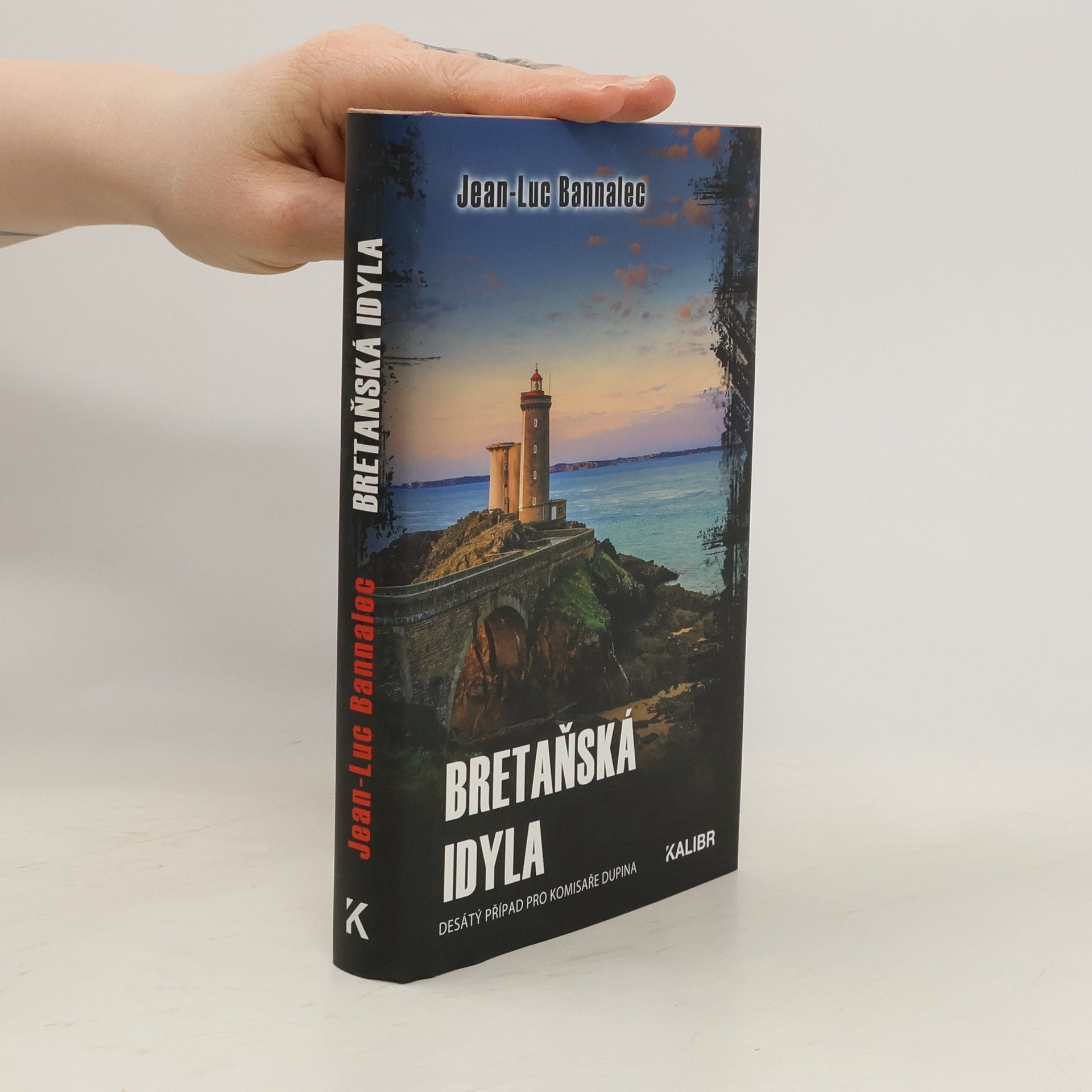 Jörg Bong Bretaňská idyla : desátý případ pro komisaře Dupina