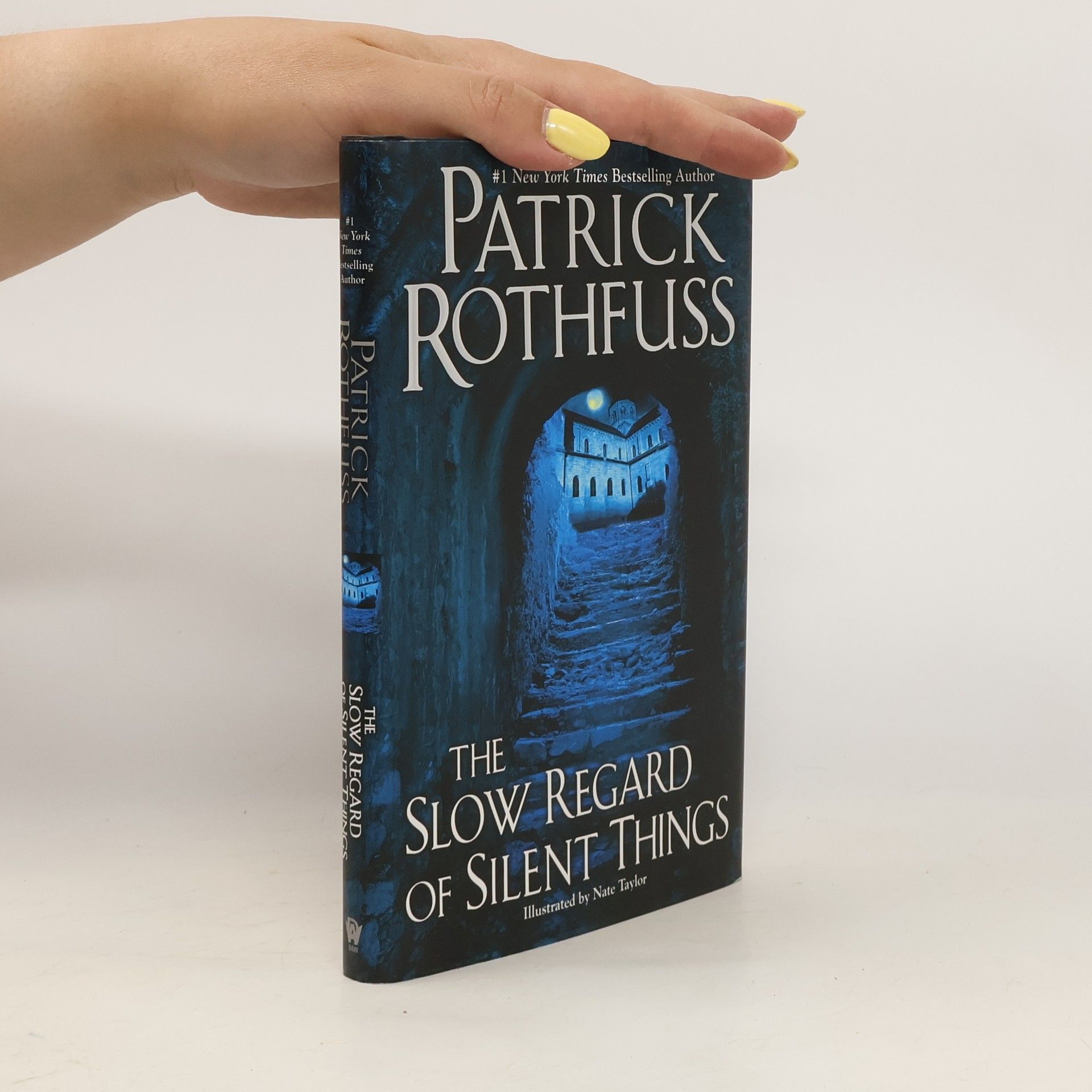 Patrick Rothfuss The Slow Regard of Silent Things