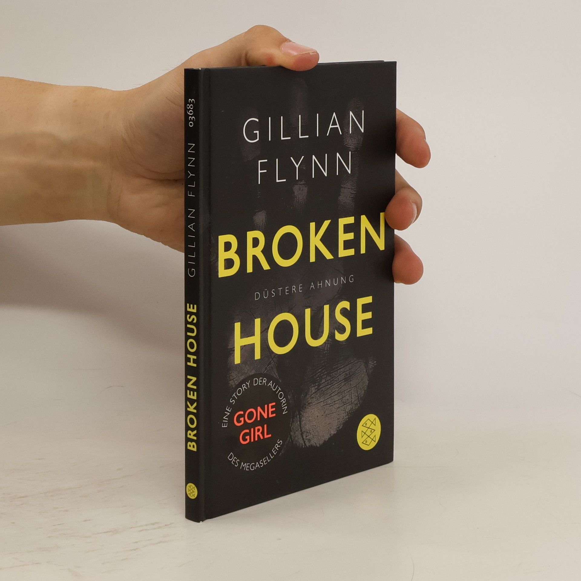 Gillian Flynn Broken House