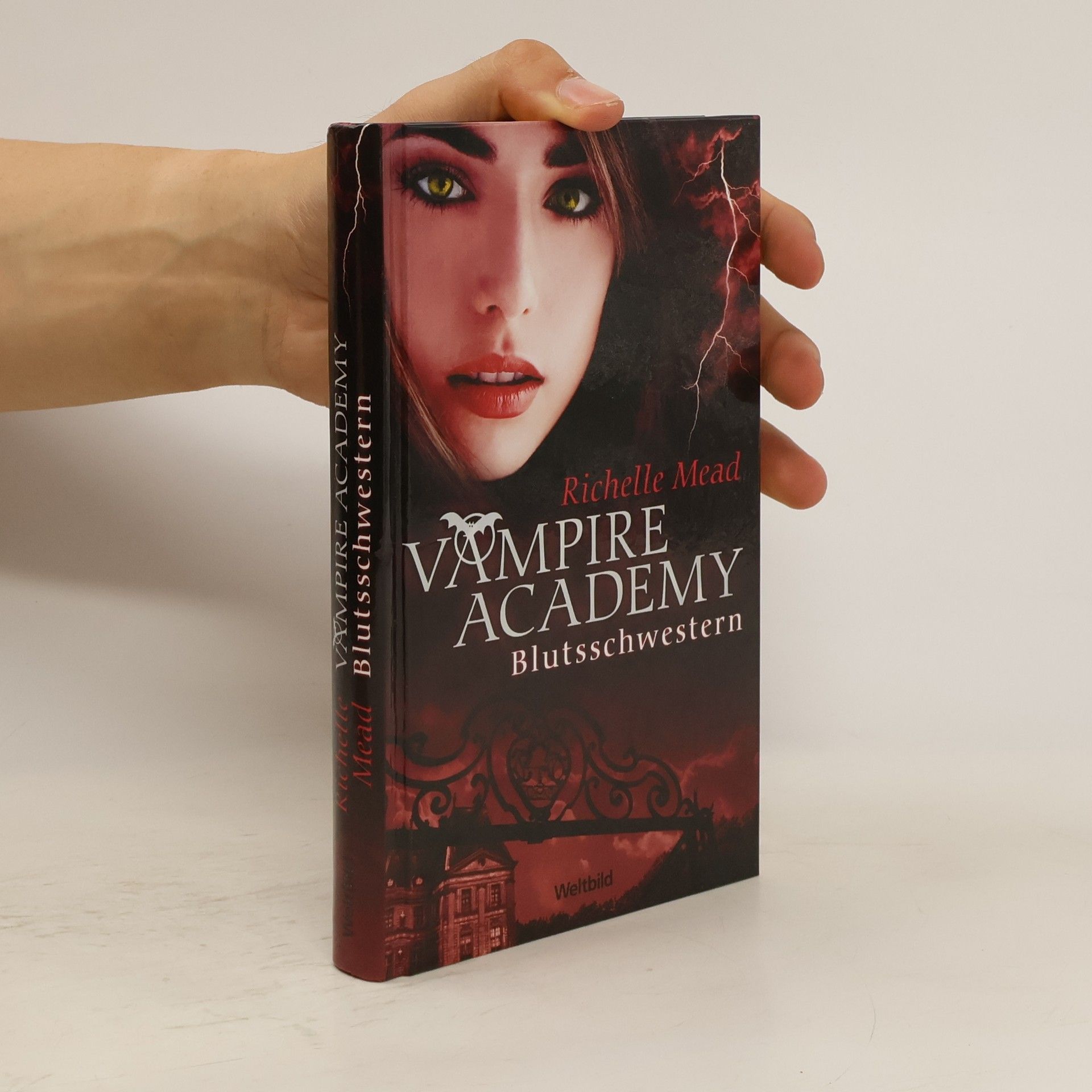 Richelle Mead Vampire Academy. Blutsschwestern