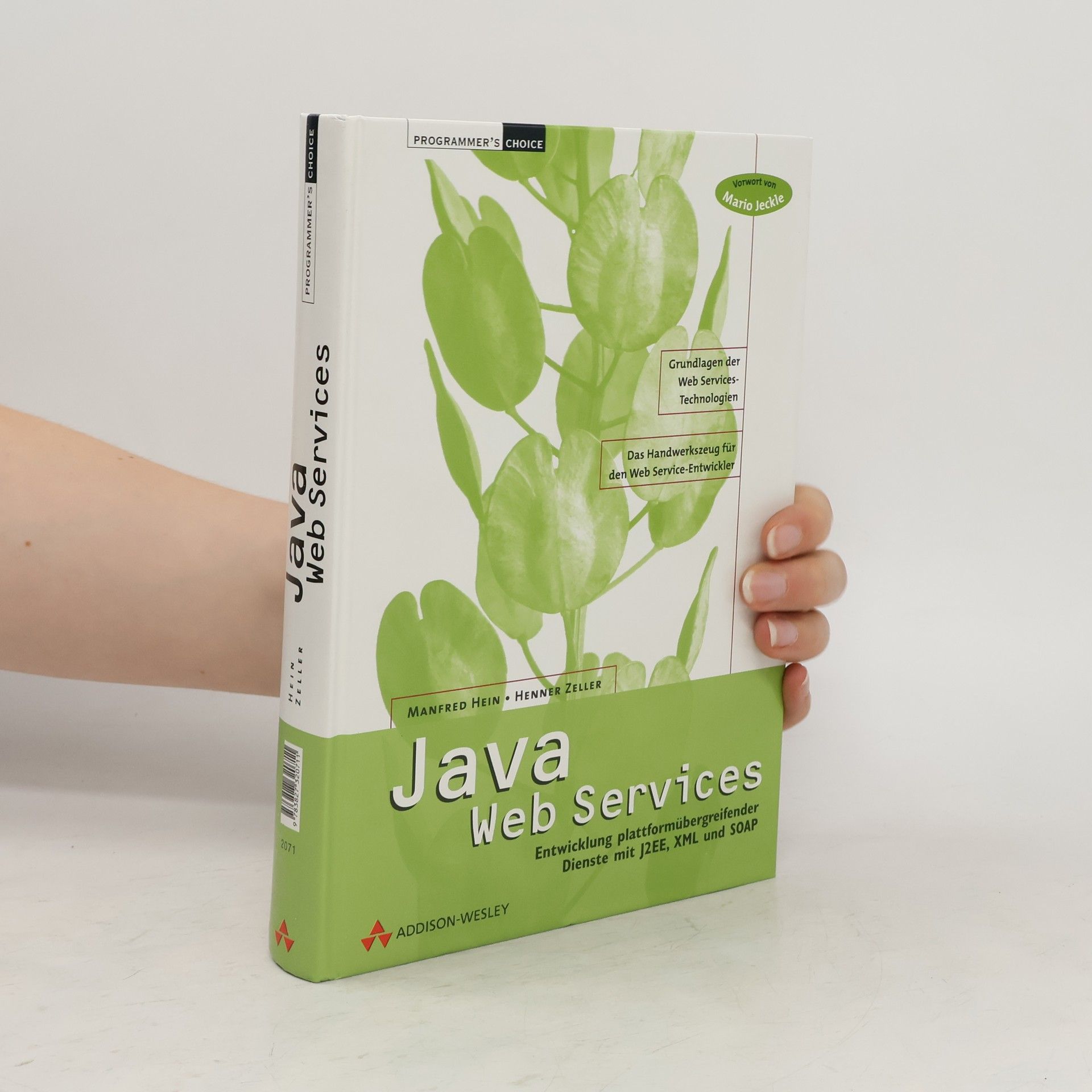 Manfred Hein Java Web Services