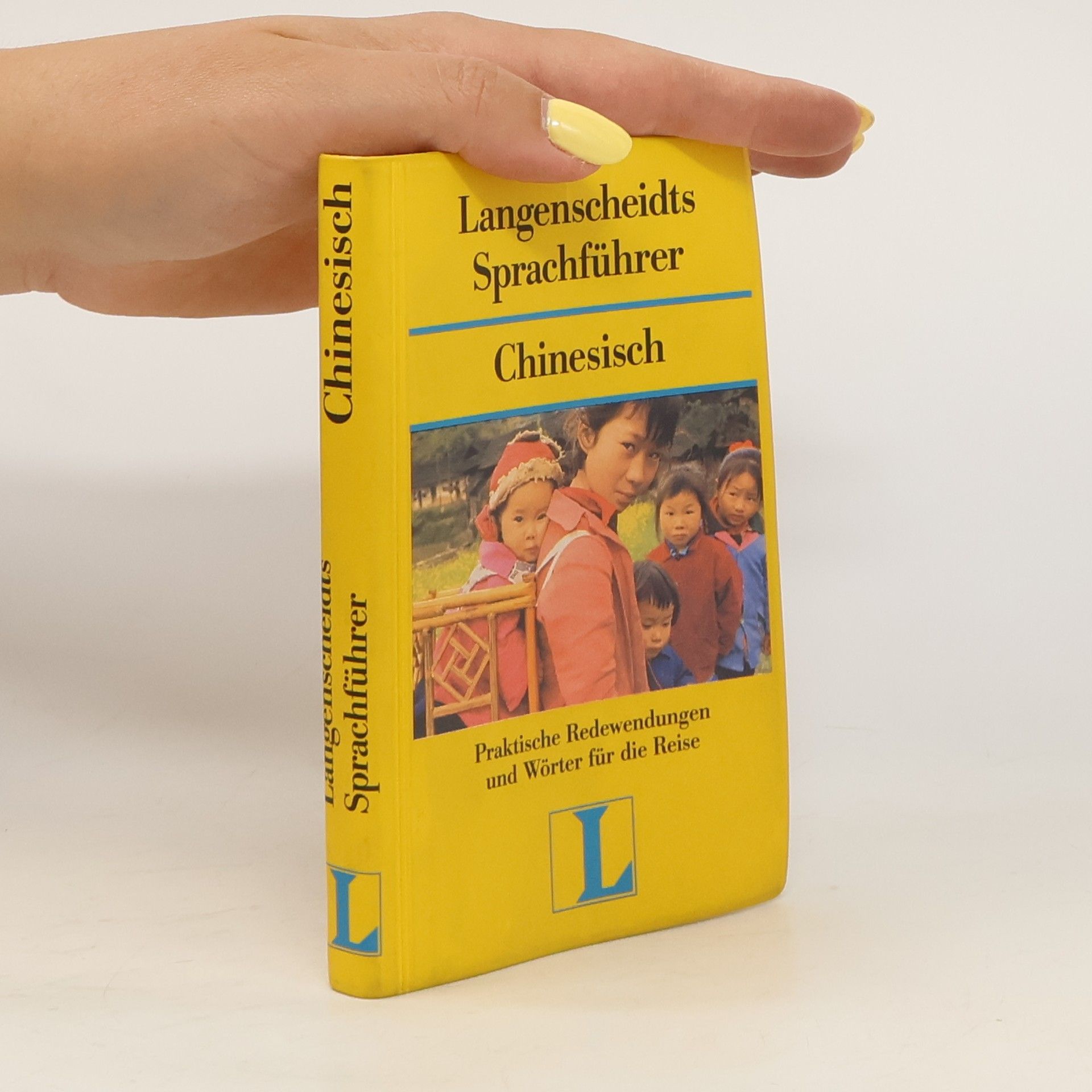 Manuel Vermeer Langenscheidts Sprachführer