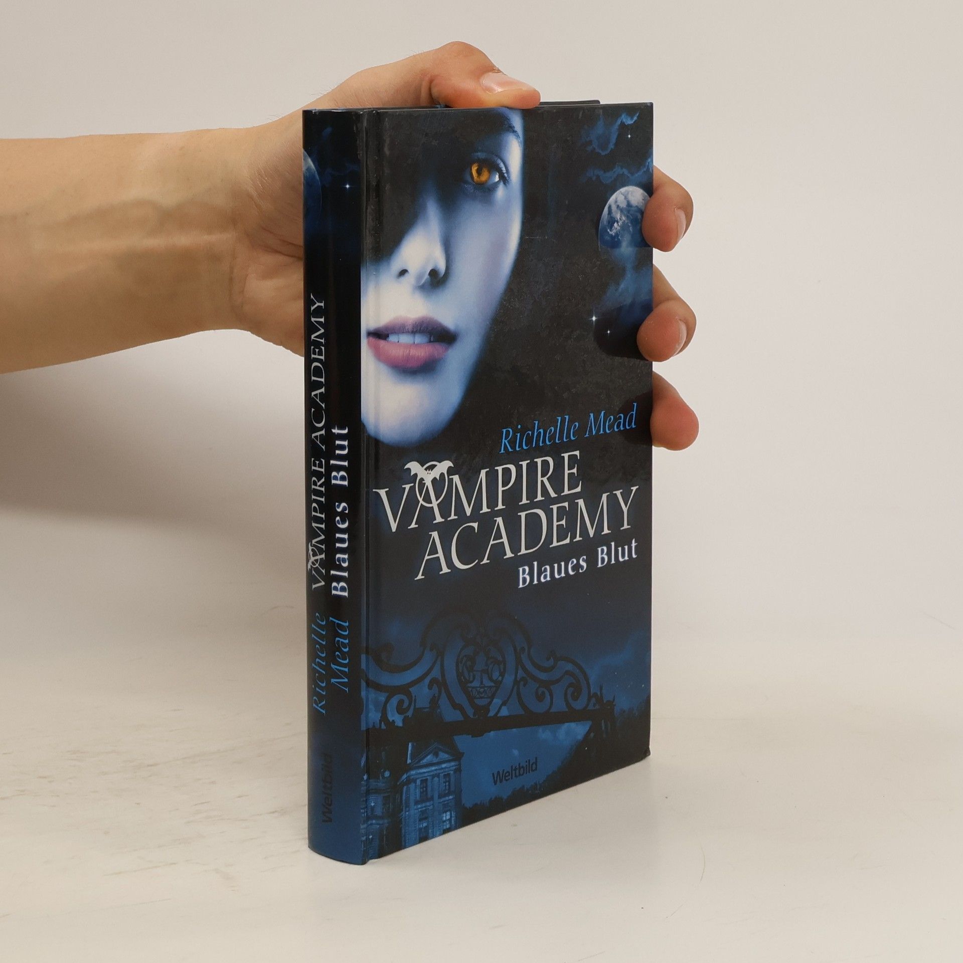 Richelle Mead Vampire Academy. Blaues Blut