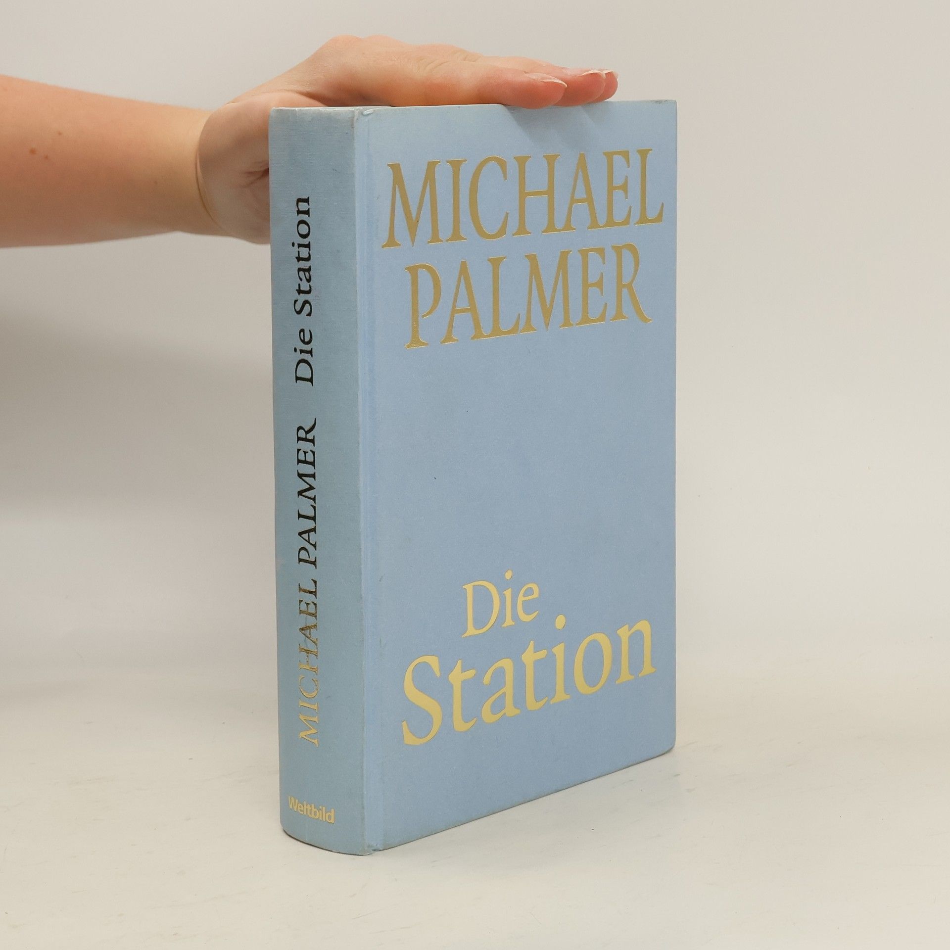 Michael Palmer Die Station