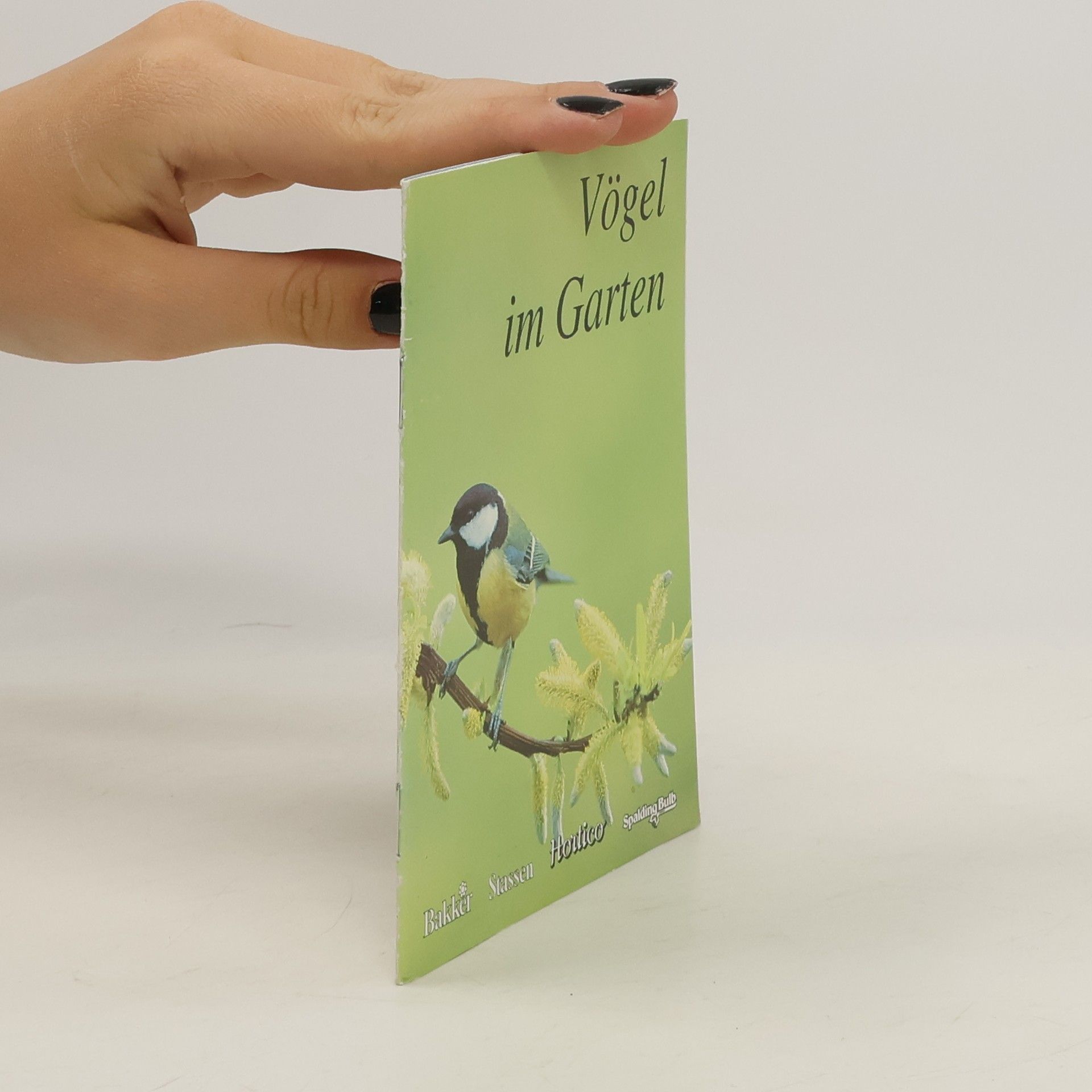 kolektiv Vögel im Garten