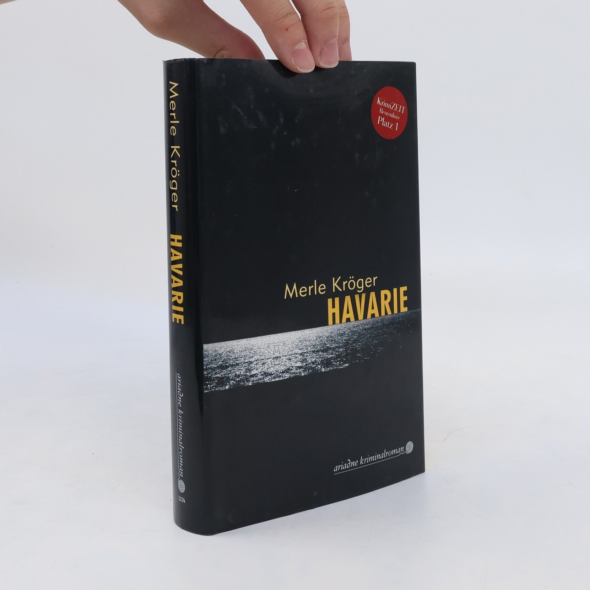 Merle Kröger Havarie