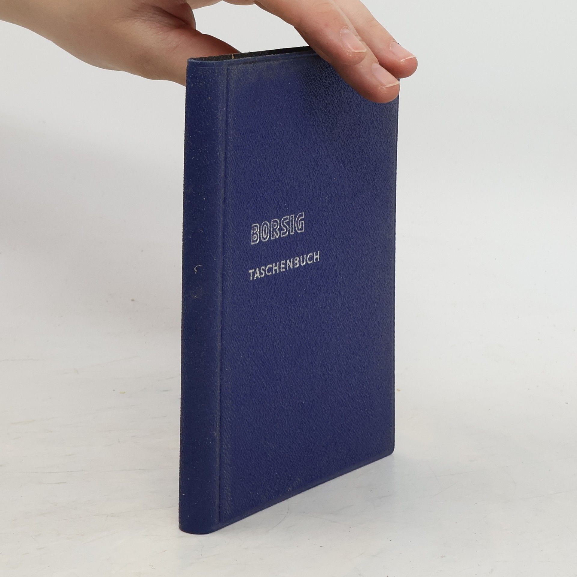 Collectif d'auteurs Borsig Taschenbuch