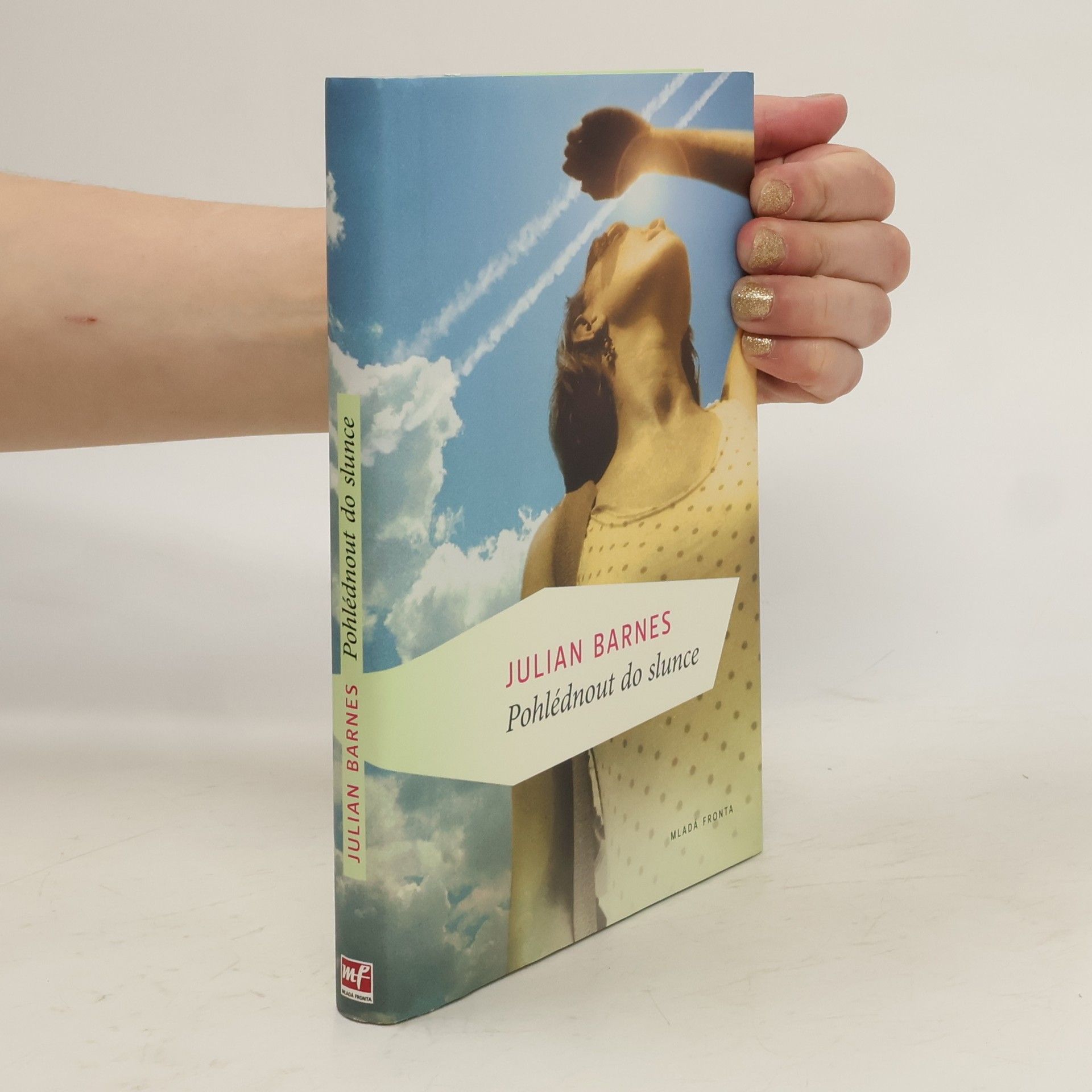 Julian Barnes Pohlédnout do slunce