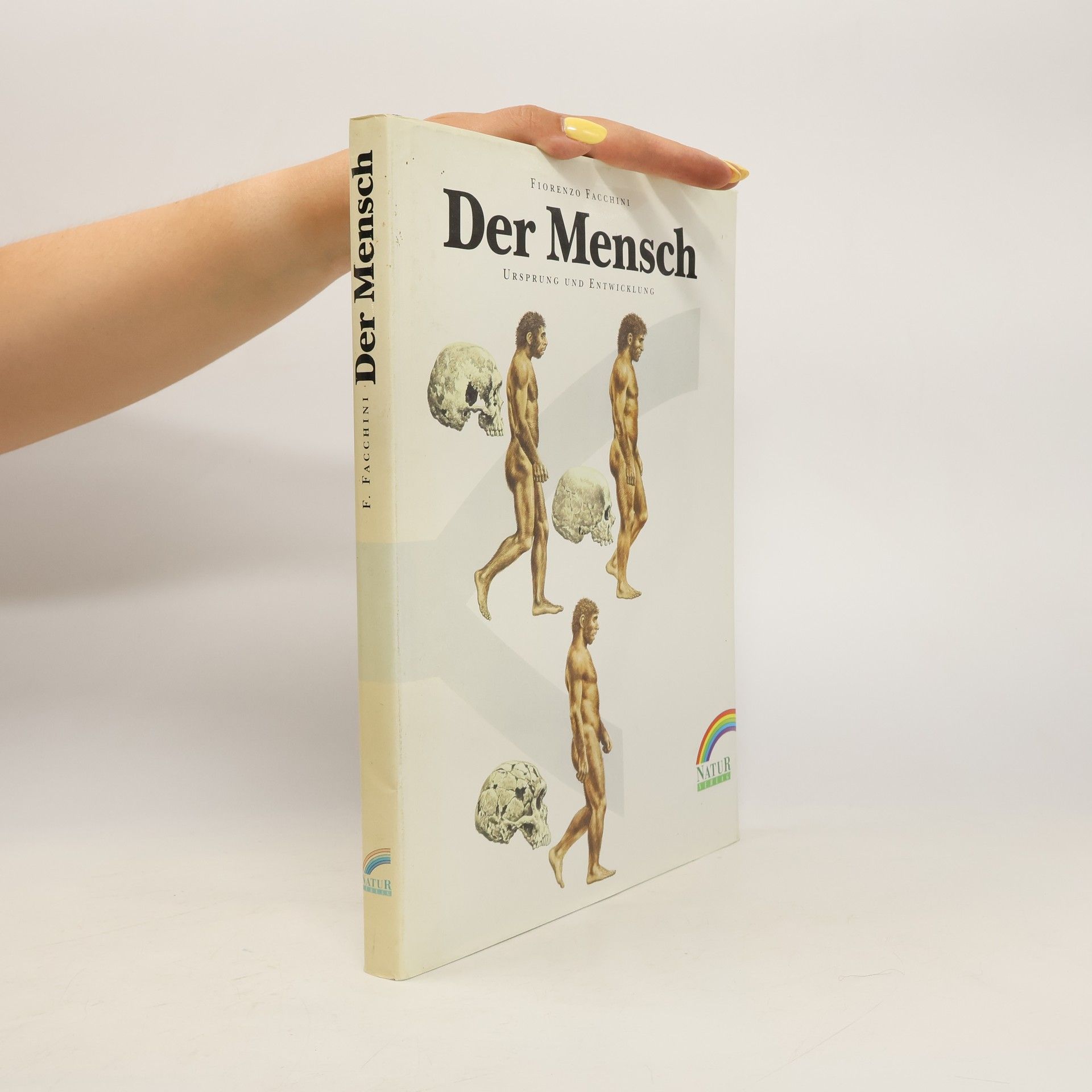 Fiorenzo Facchini Der Mensch