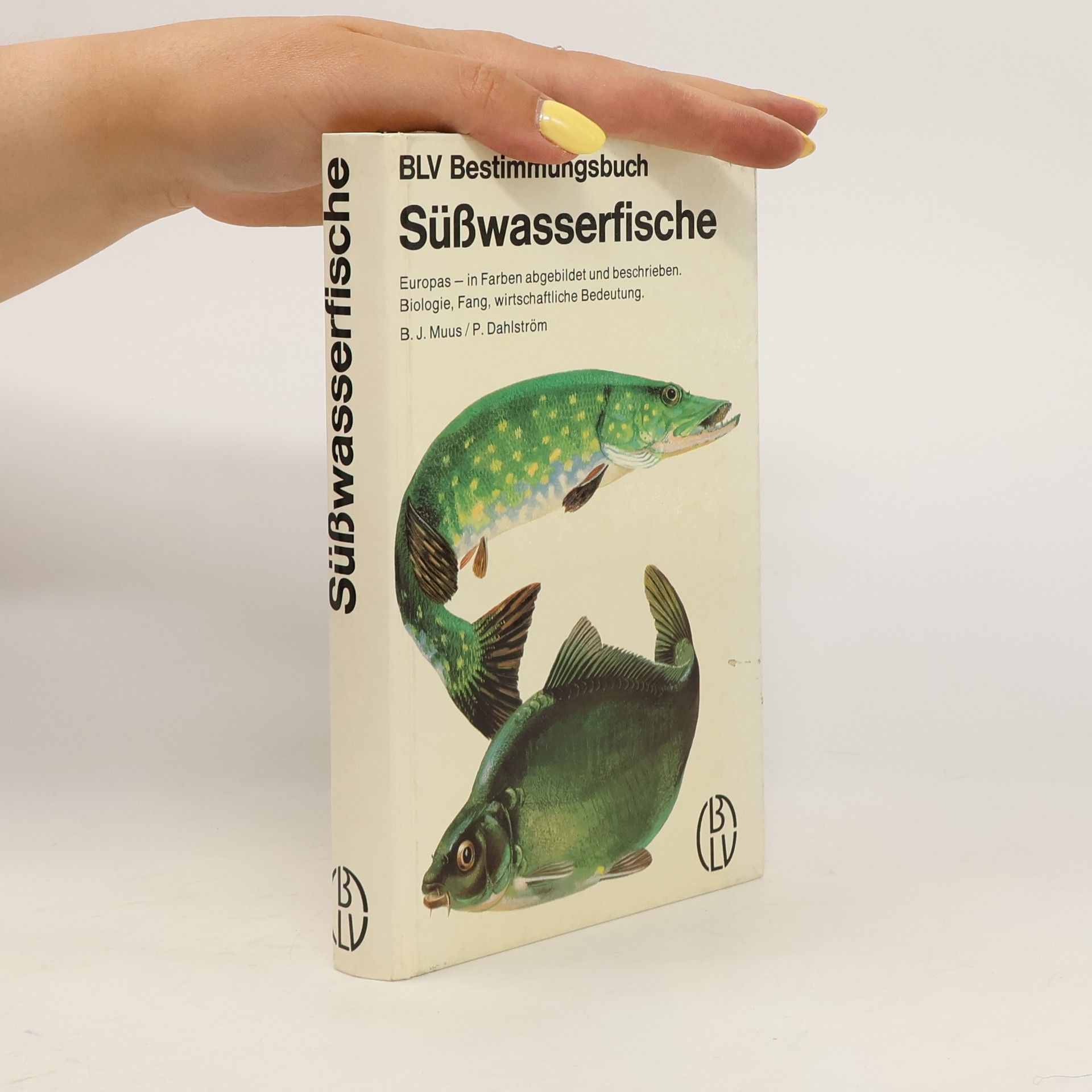 Autorenkollektiv Süßwasserfische