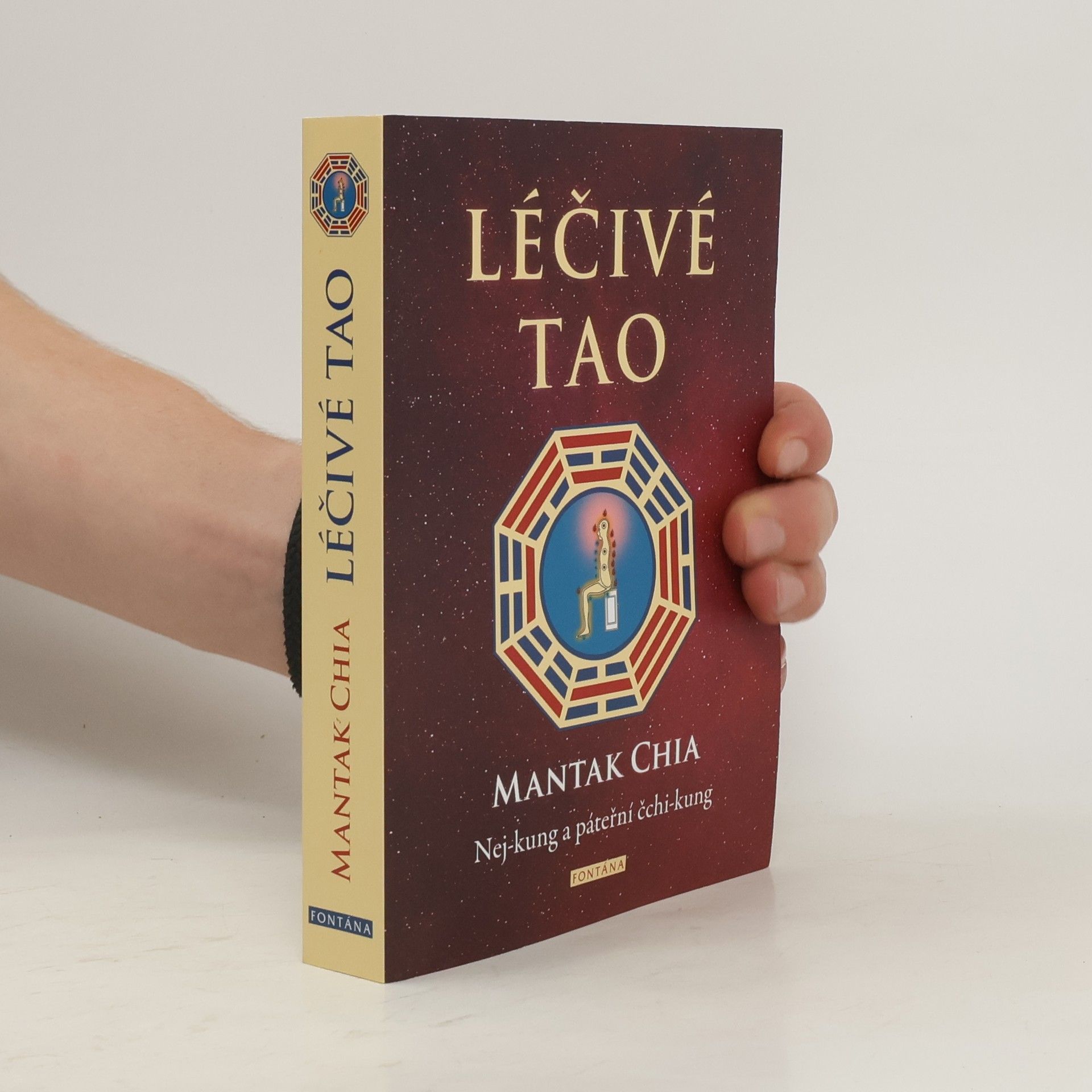 Mantak Chia Léčivé Tao : nej-kung a páteřní čchi-kung