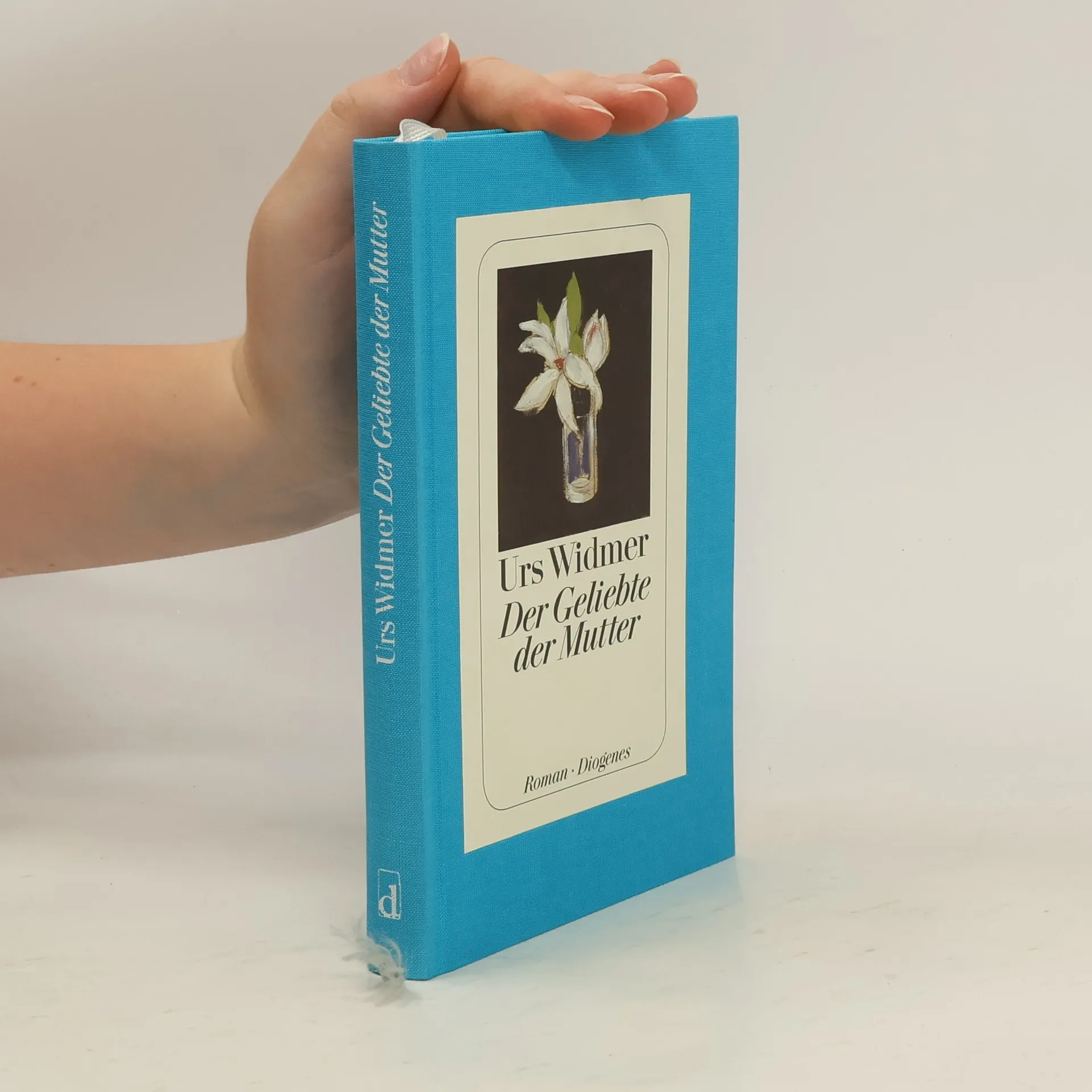 Der Geliebte der Mutter | Buch | Hardcover | Urs Widmer