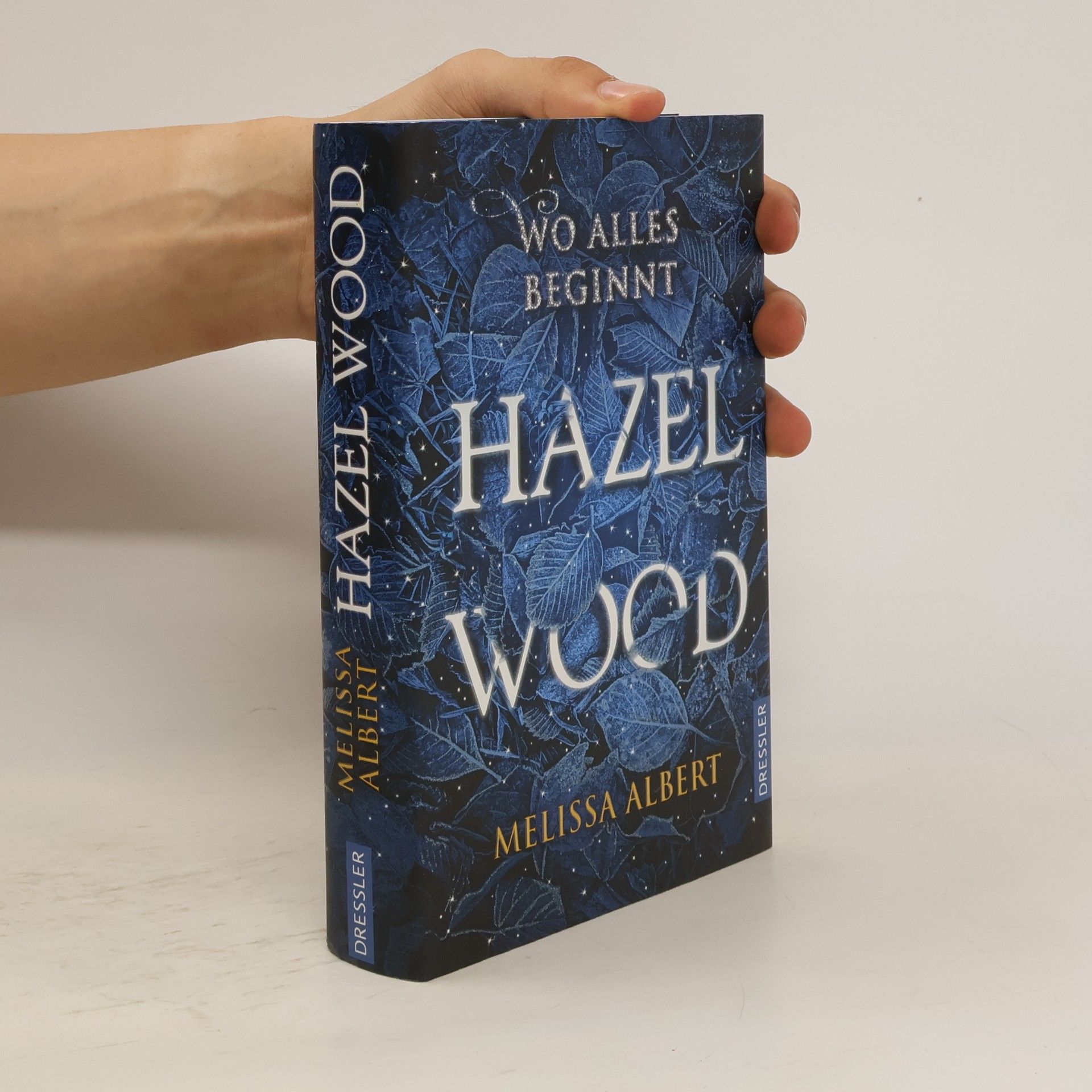 Melissa Albert Hazel Wood: Wo alles beginnt