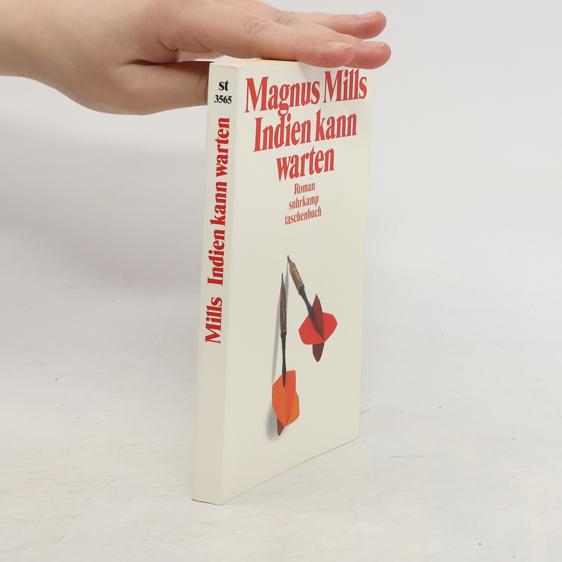 Magnus Mills Indien kann warten