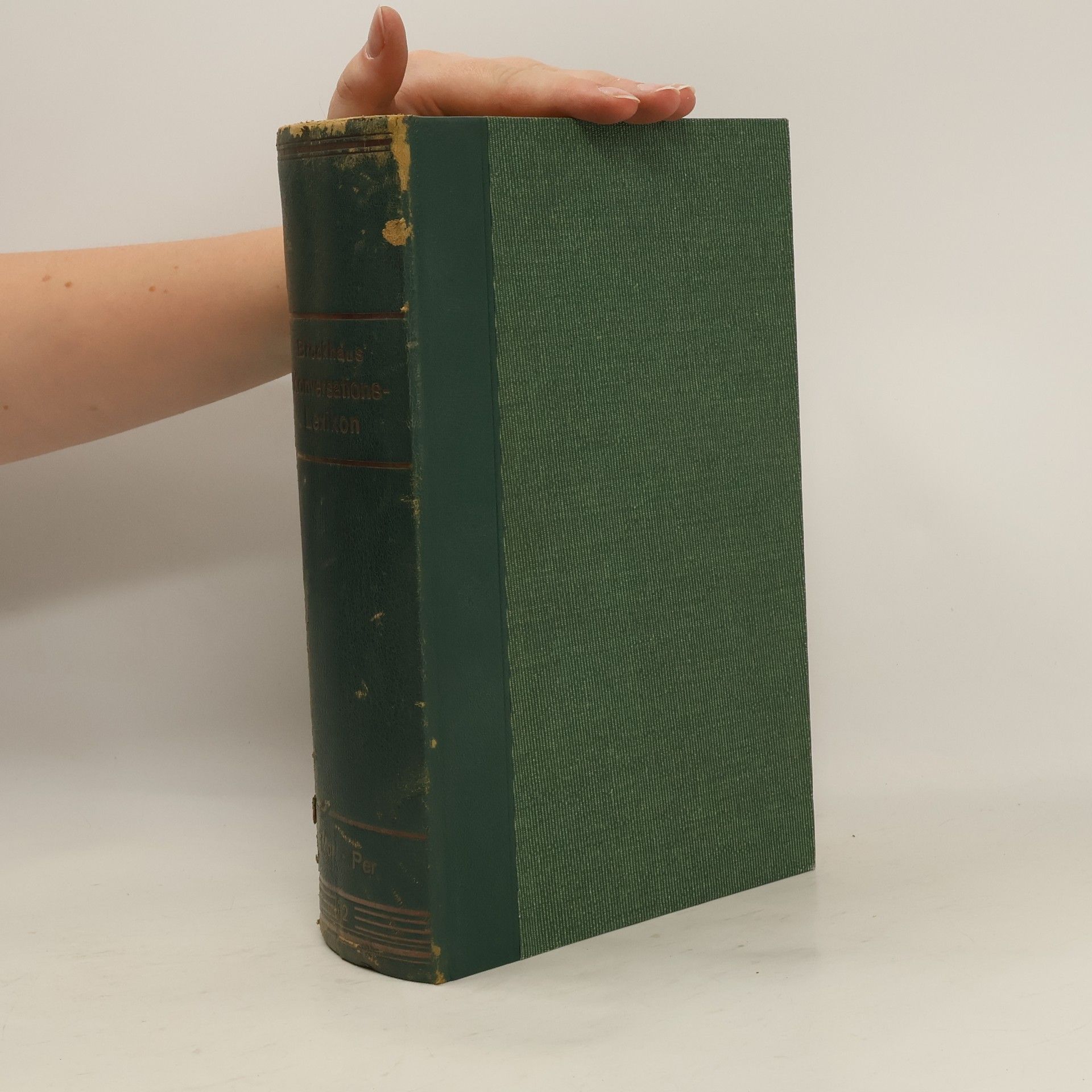 kolektiv Brockhaus Konversations Lexikon 12