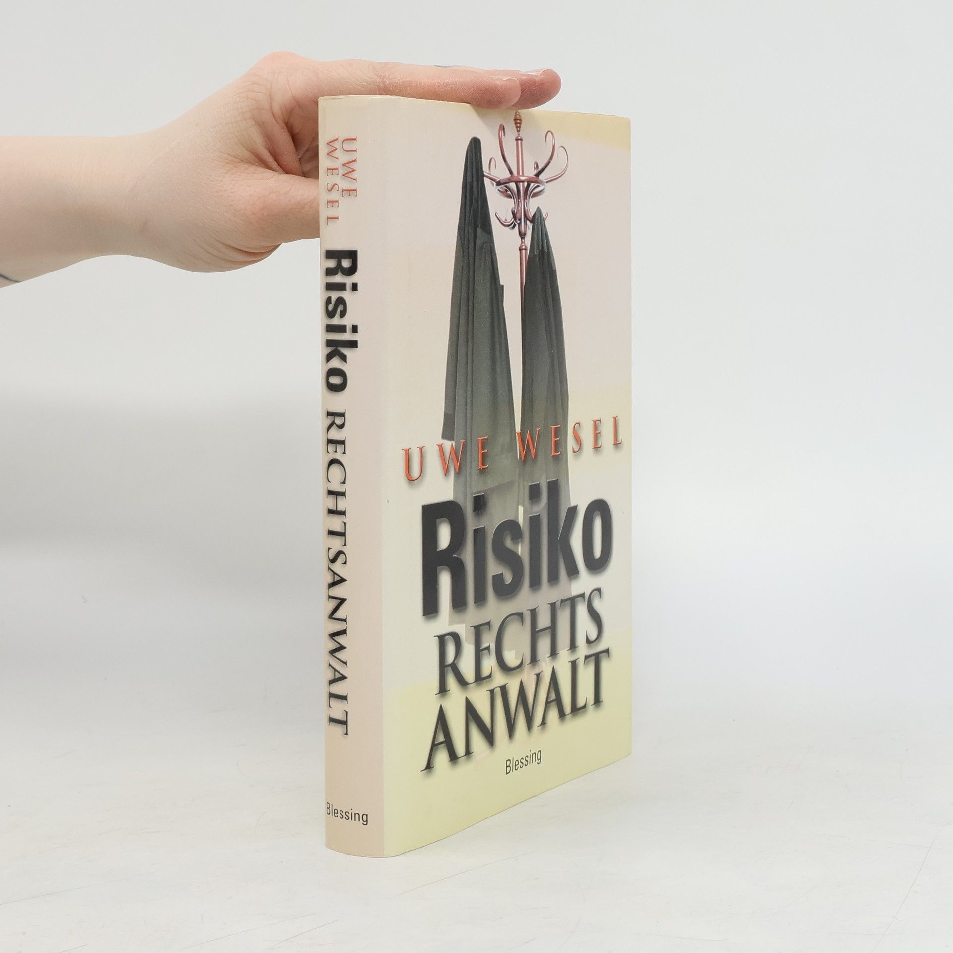 Uwe Wesel Risiko Rechtsanwalt
