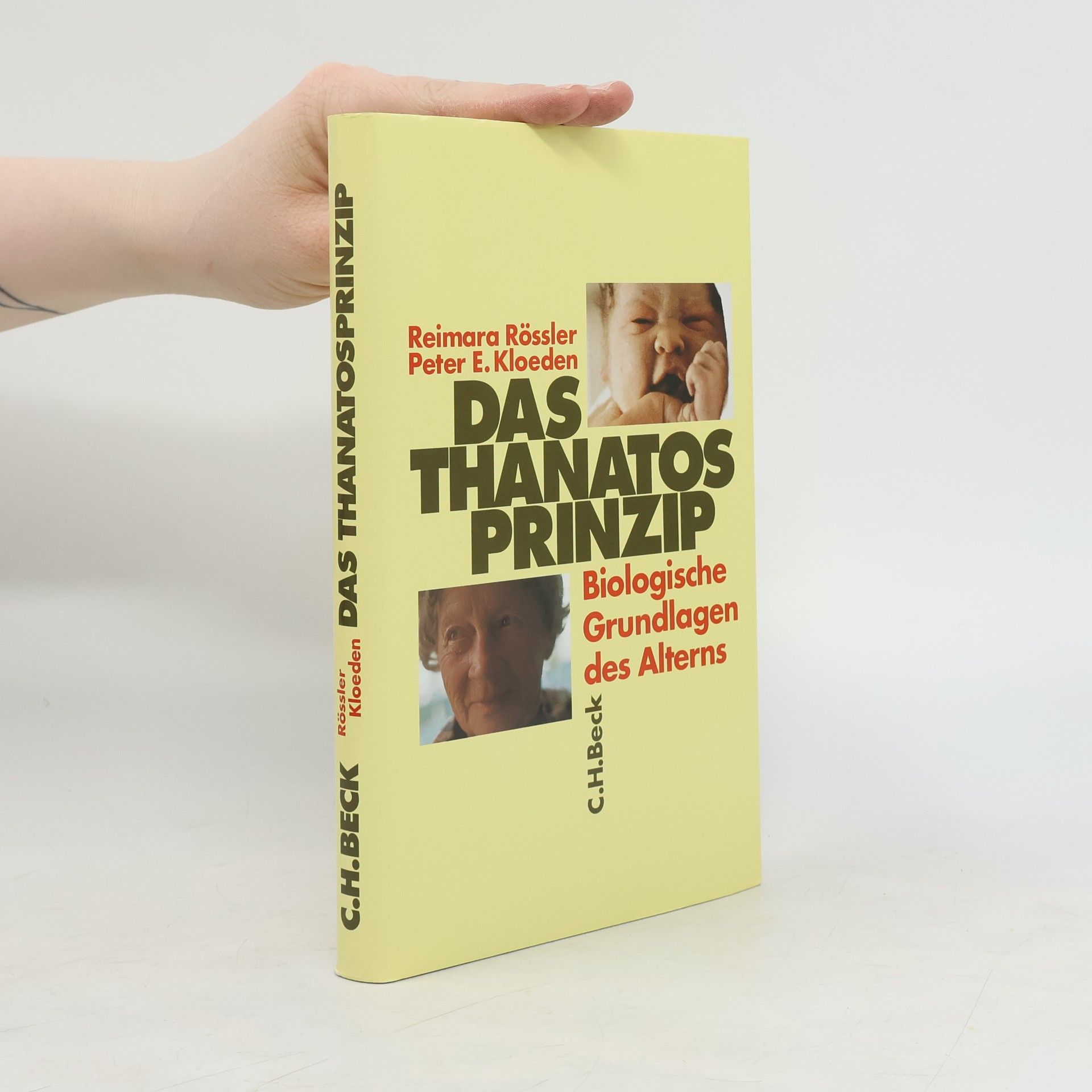 Reimara Rössler Das Thanatosprinzip