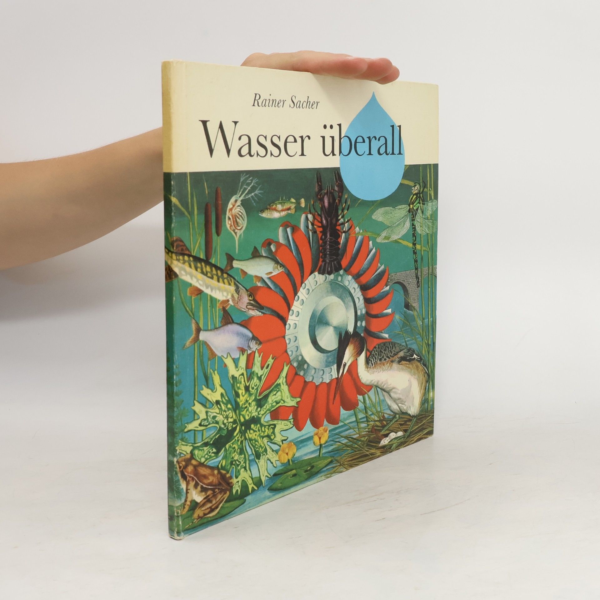 Rainer Sacher Wasser Überall