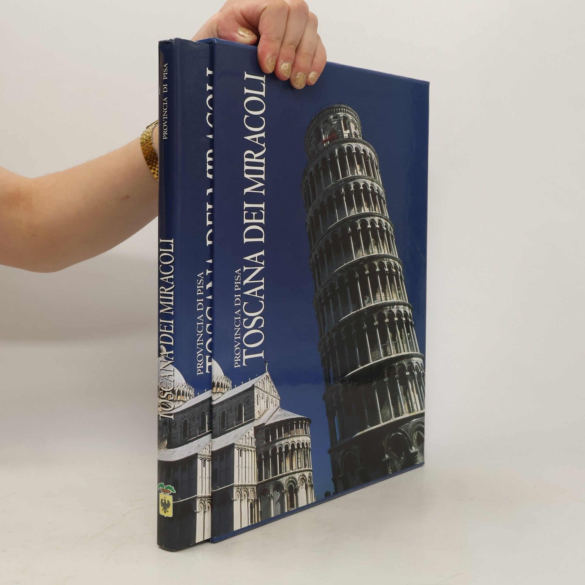 AA.VV. Provincia di Pisa. Toscana dei miracoli.