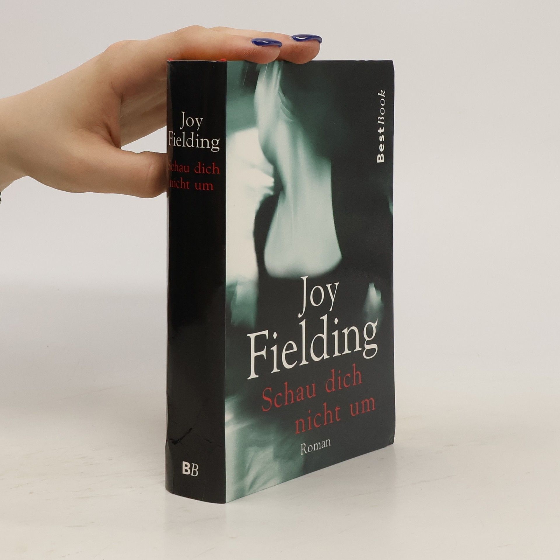 Joy Fielding Schau dich nicht um