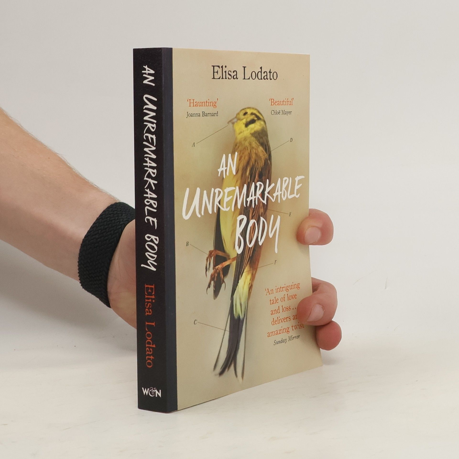 Elisa Lodato An Unremarkable Body