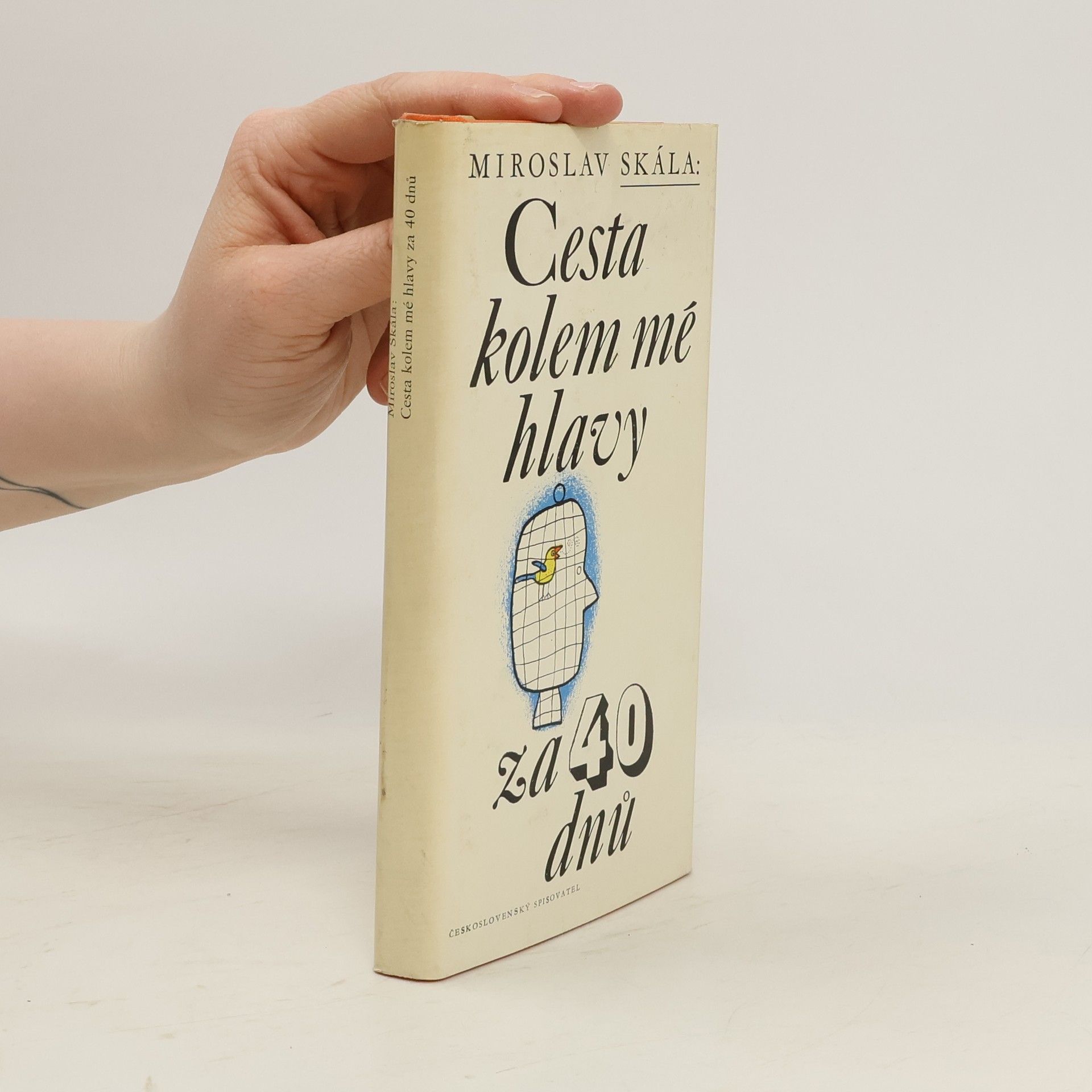 Miroslav Skála Cesta kolem mé hlavy za 40 dnů