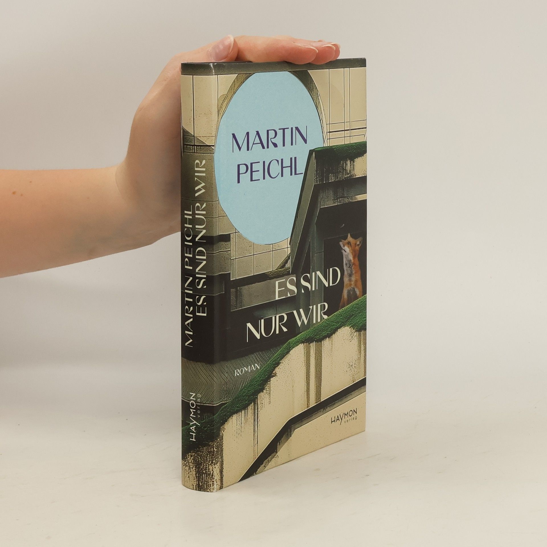 Martin Peichl Es sind nur wir. Roman