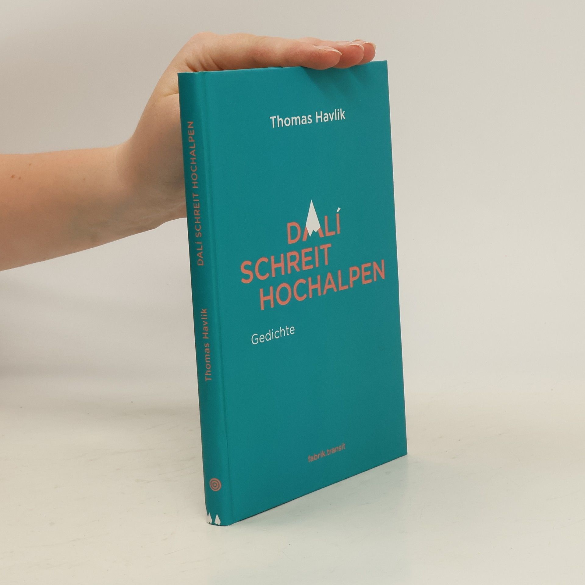 Thomas Havlik Dalí schreit Hochalpen
