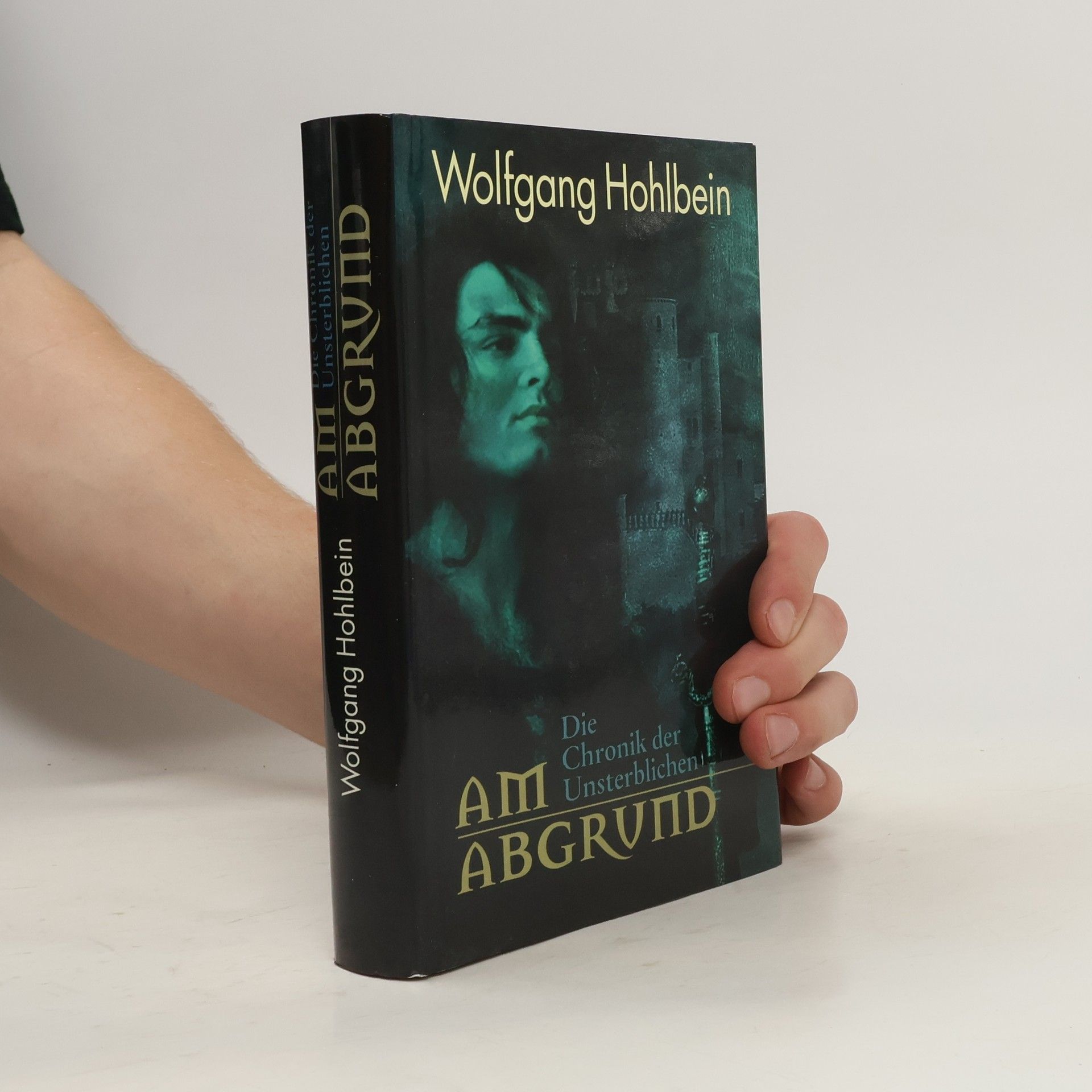 Wolfgang Hohlbein Am Abgrund