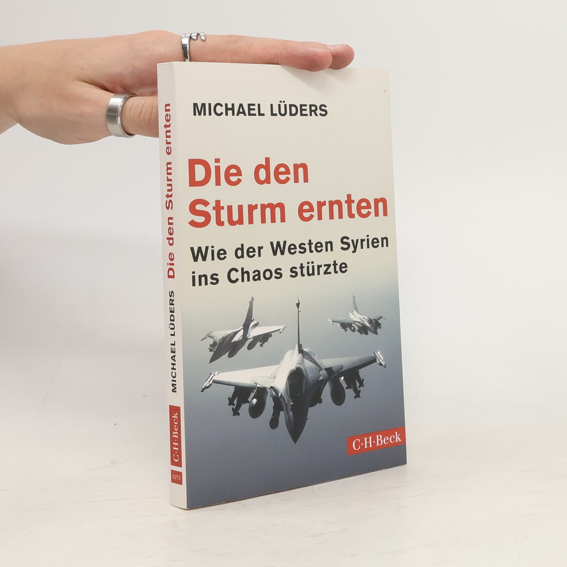 Michael Lüders Die den Sturm ernten