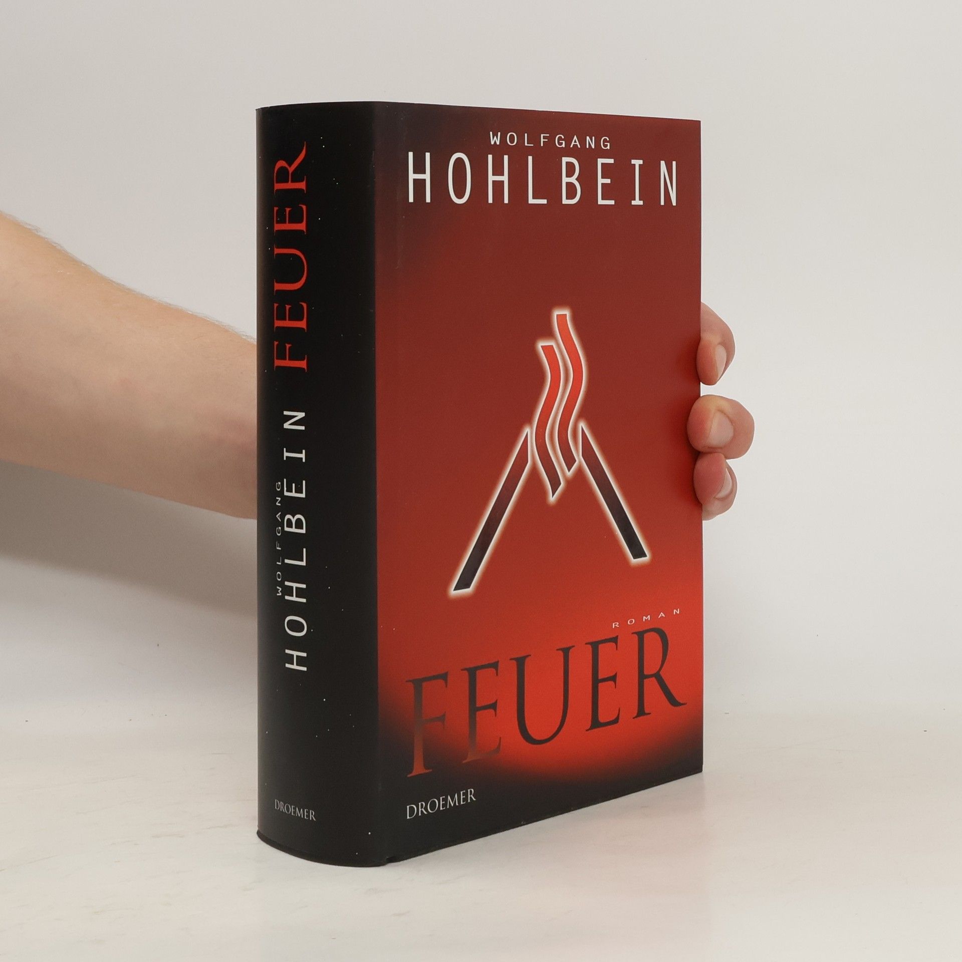 Wolfgang Hohlbein Feuer