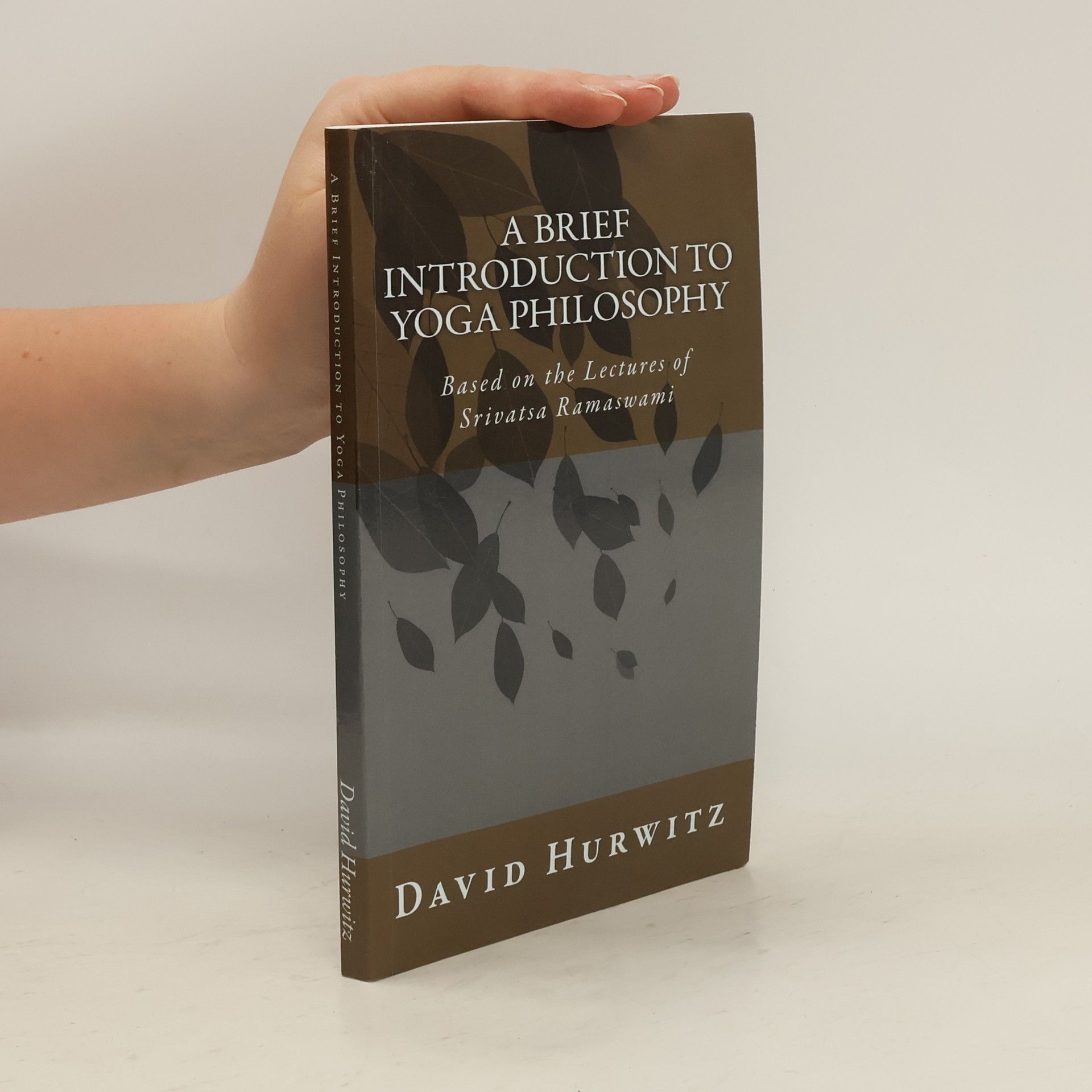 David Hurwitz A Brief Introduction to Yoga Philosophy