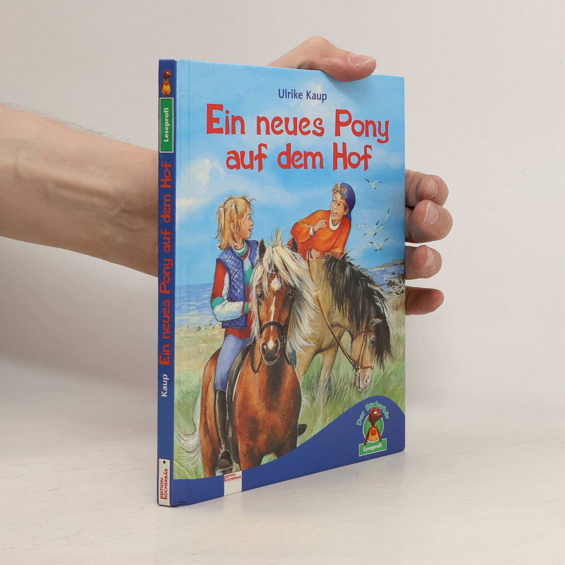 Ulrike Kaup Ein neues Pony auf dem Hof