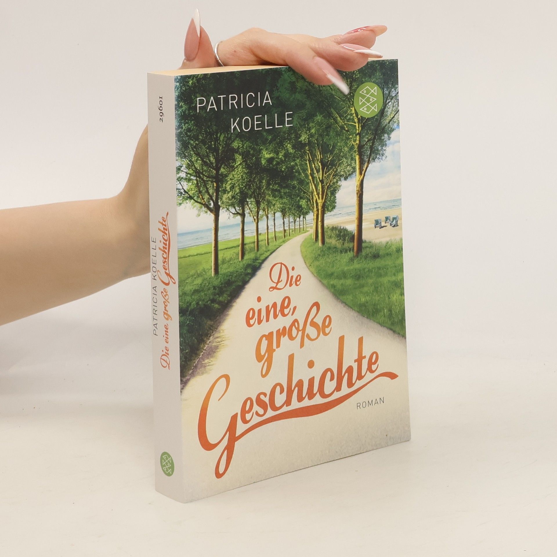 Patricia Koelle Die eine, große Geschichte