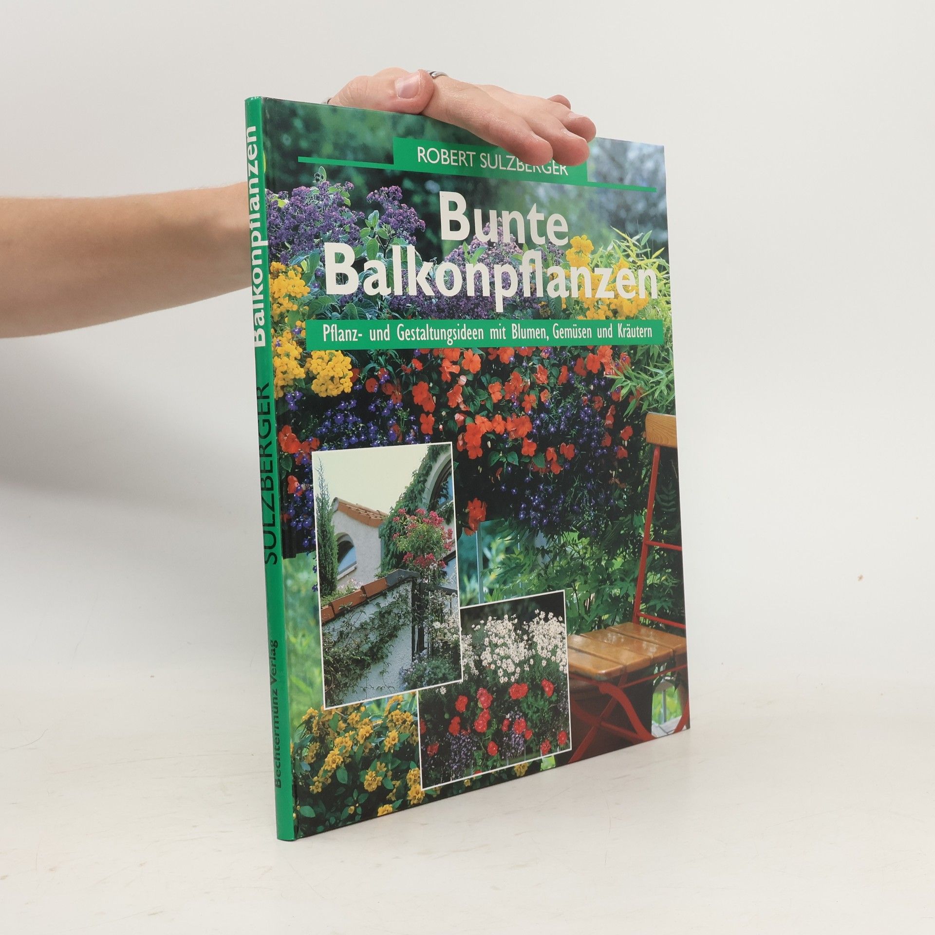 Robert Sulzberger Bunte Balkonpflanzen
