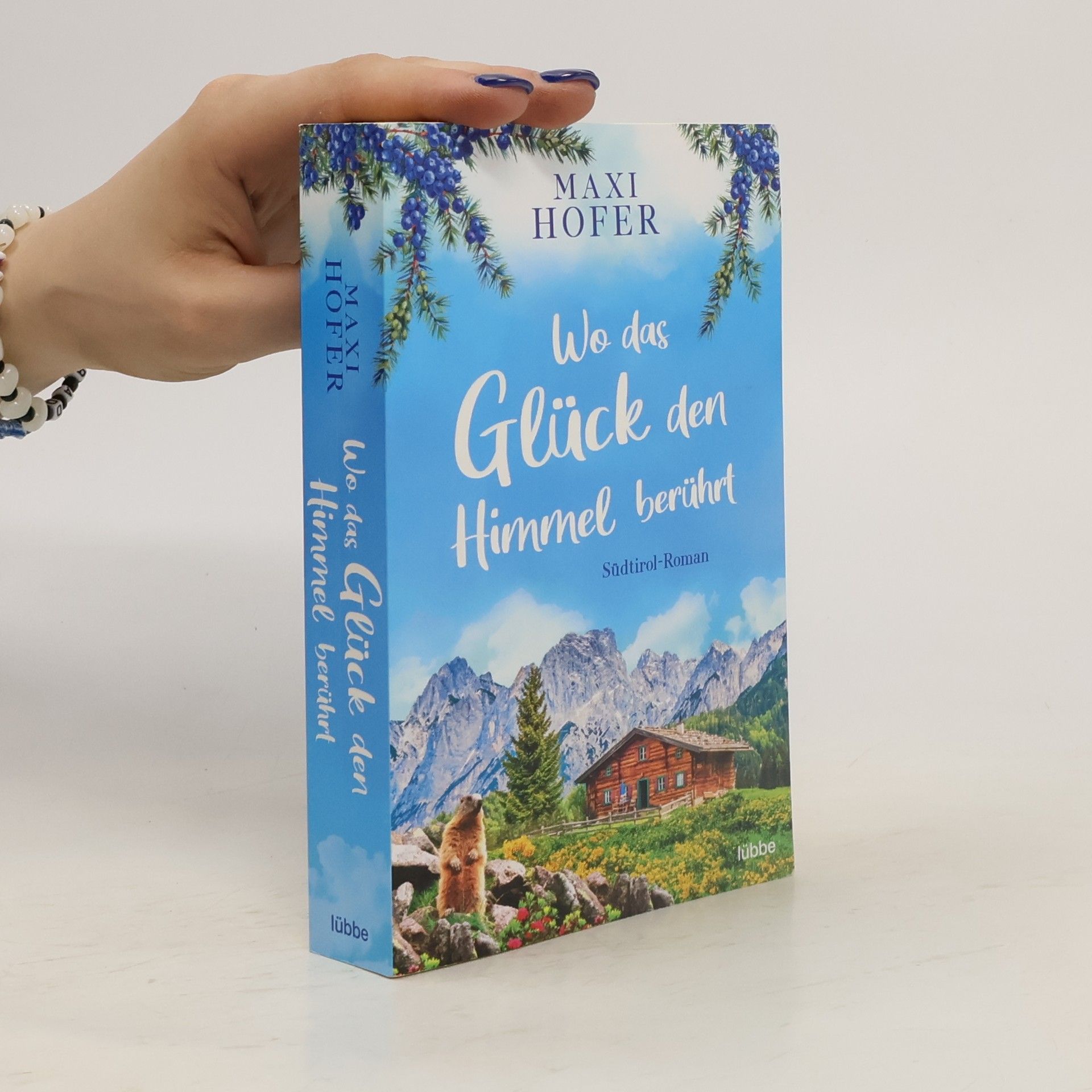 Maxi Hofer Wo das Glück den Himmel berührt
