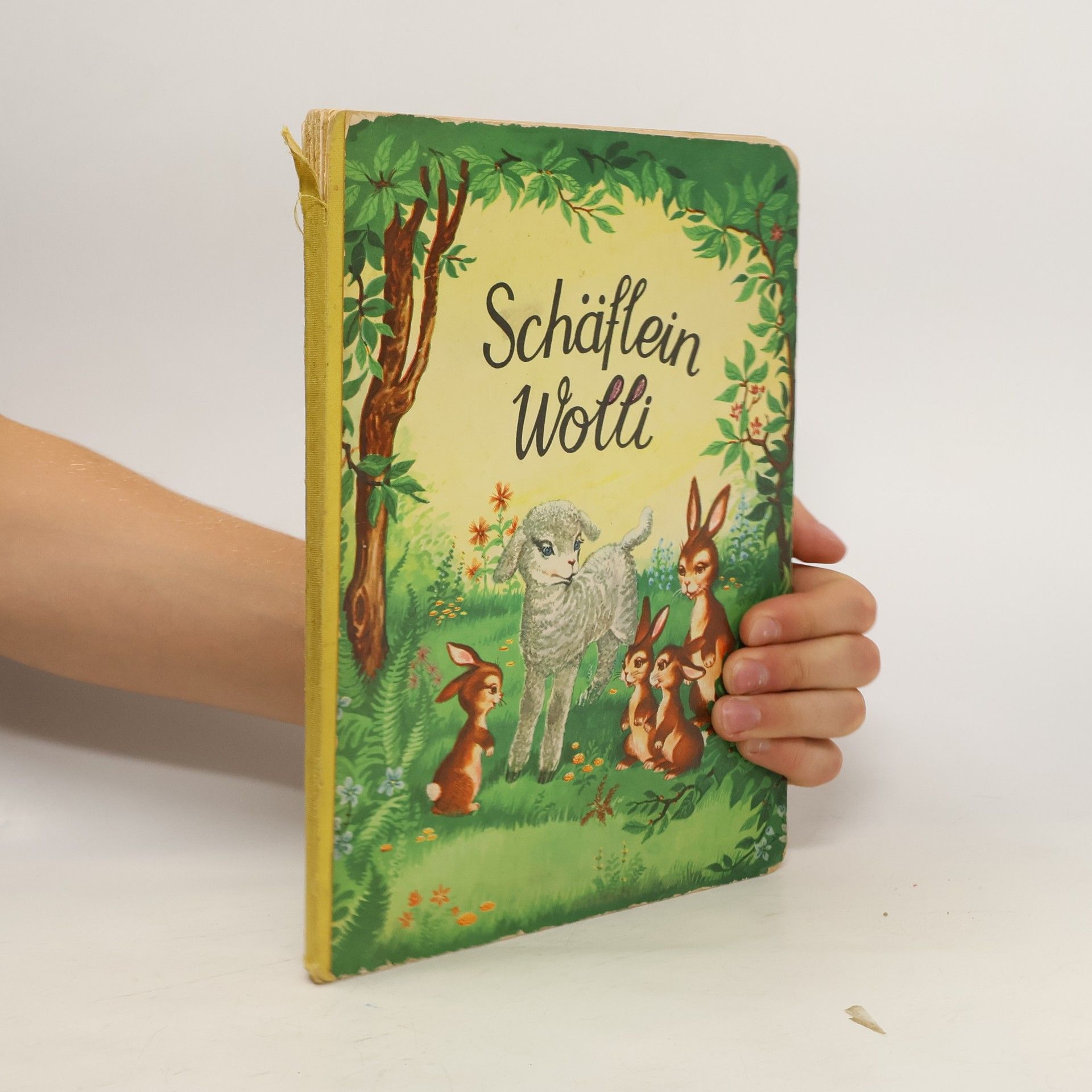 Pax Steen Schäflein Wolli