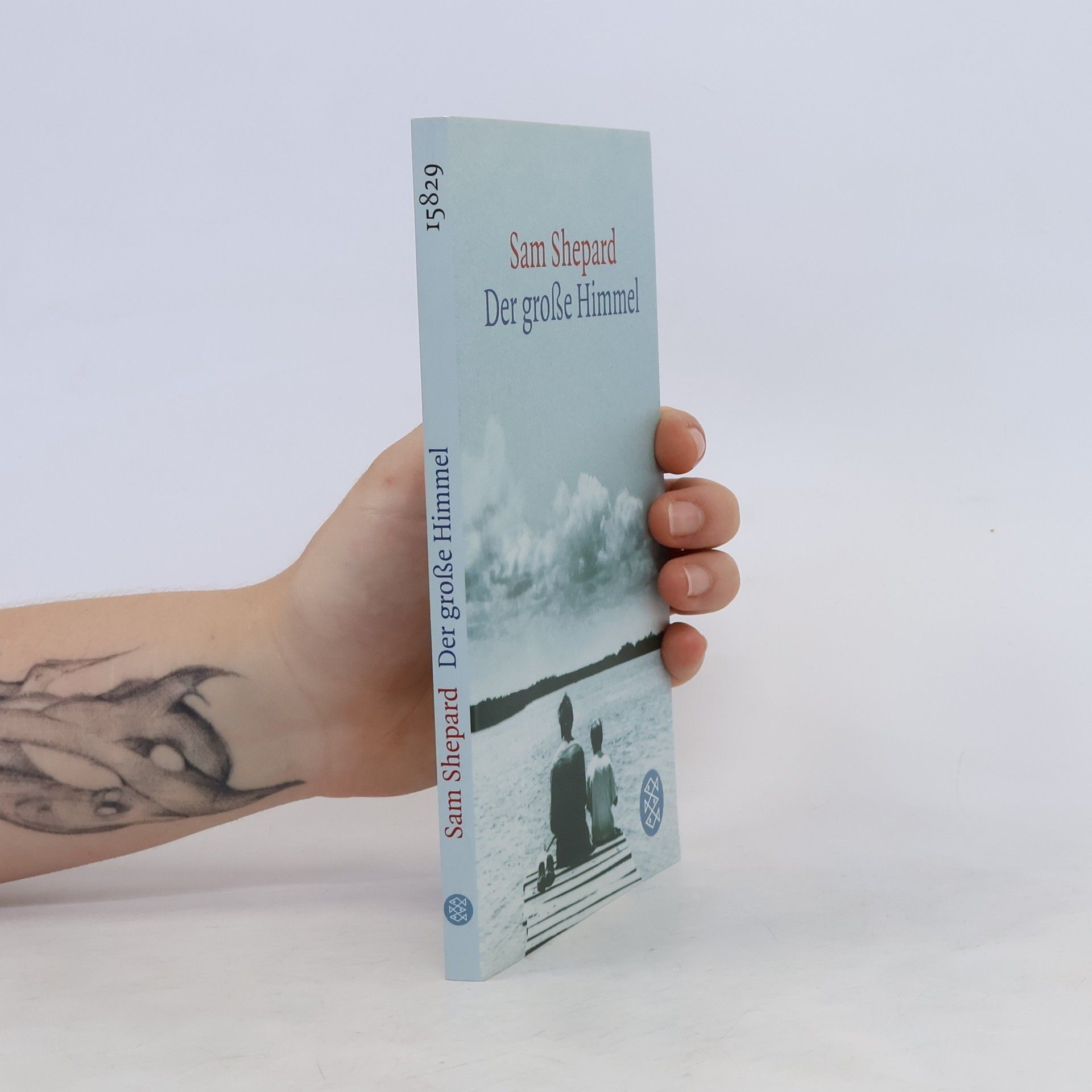 Sam Shepard Der grosse Himmel. Short Stories
