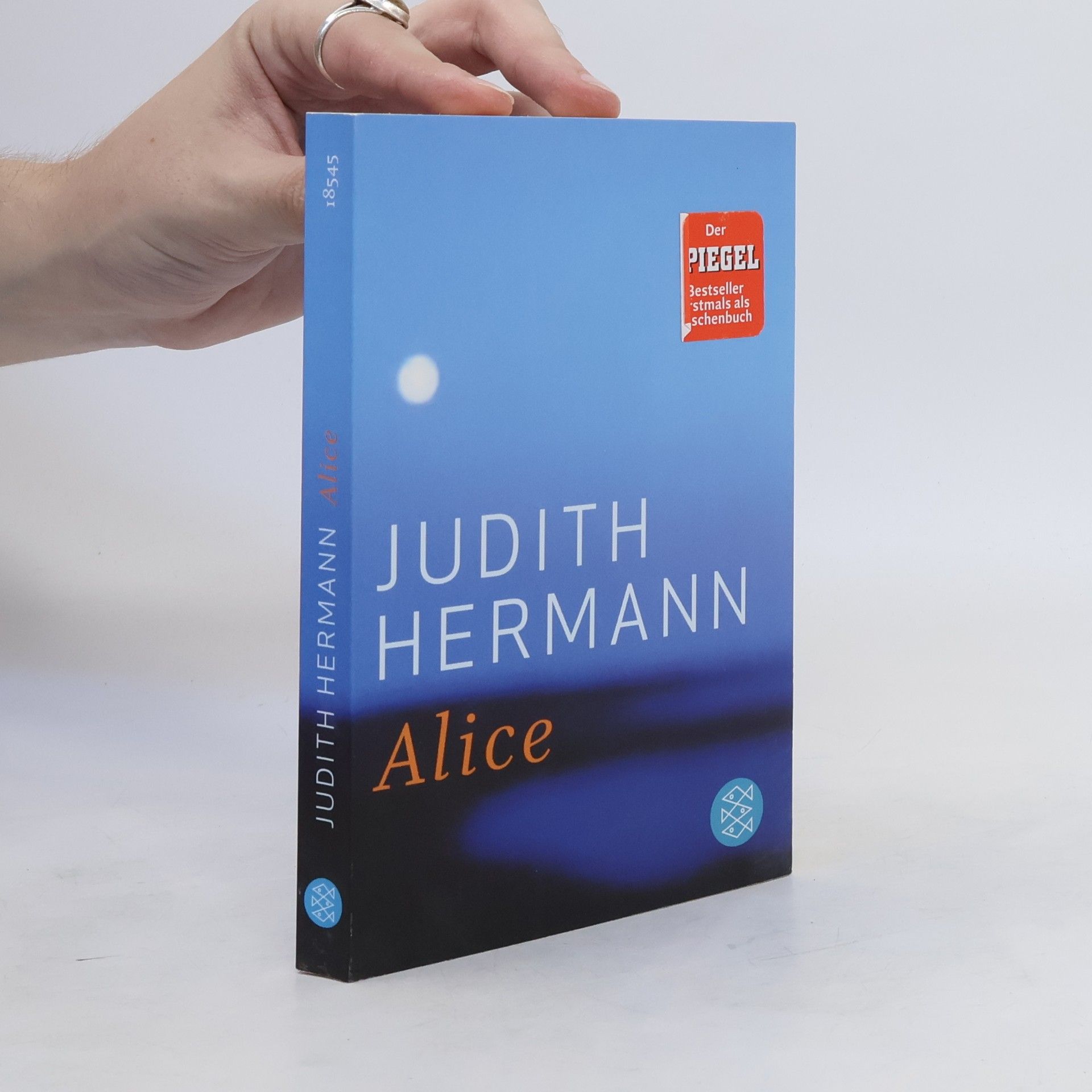 Judith Hermann Alice
