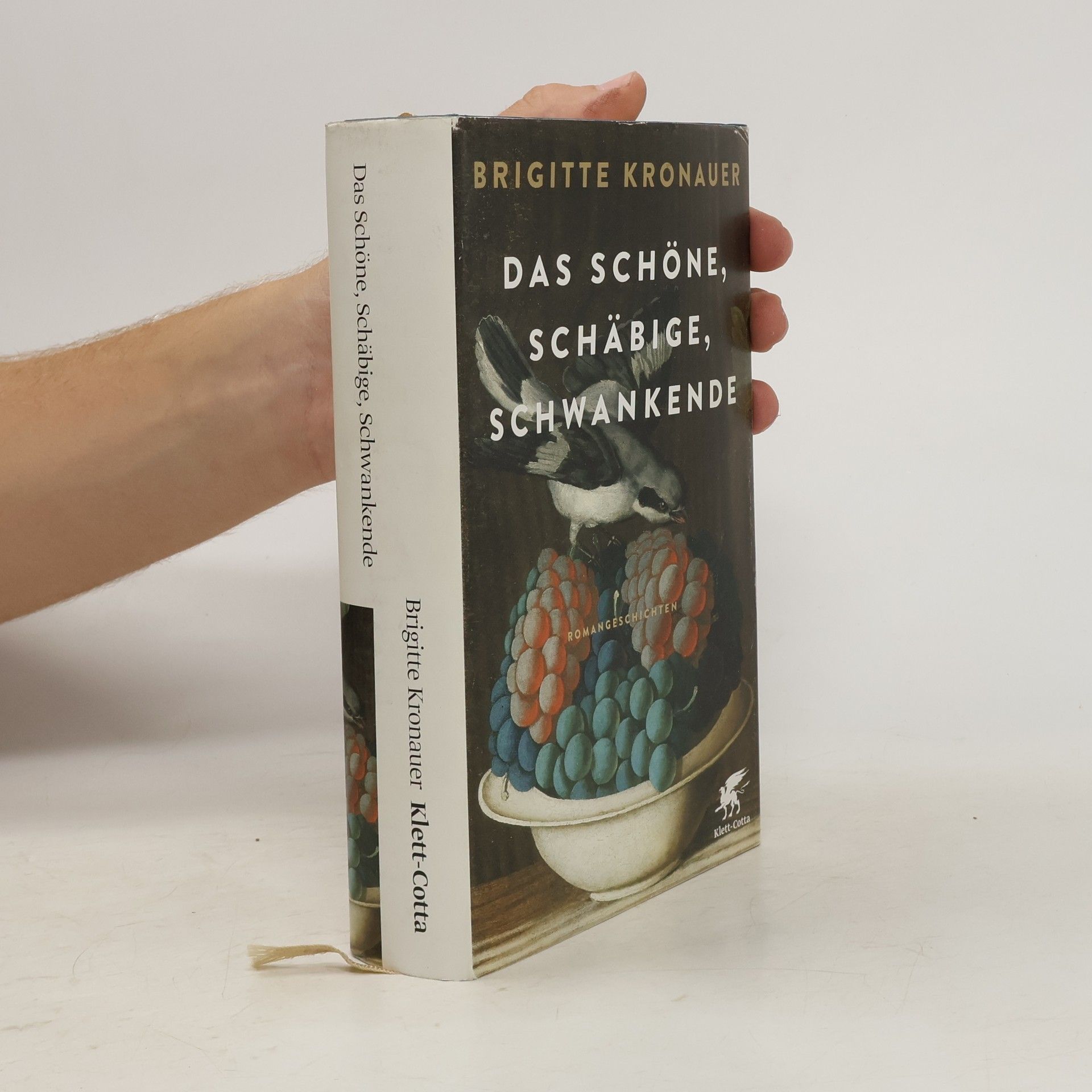 Brigitte Kronauer Das Schöne, Schäbige, Schwankende