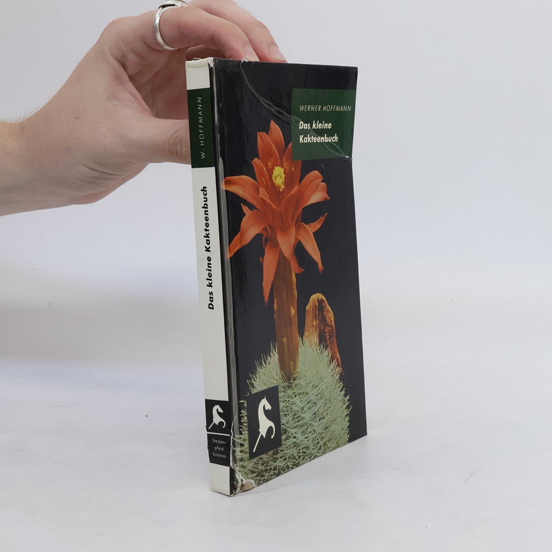 Werner Hoffmann Das kleine Kakteenbuch
