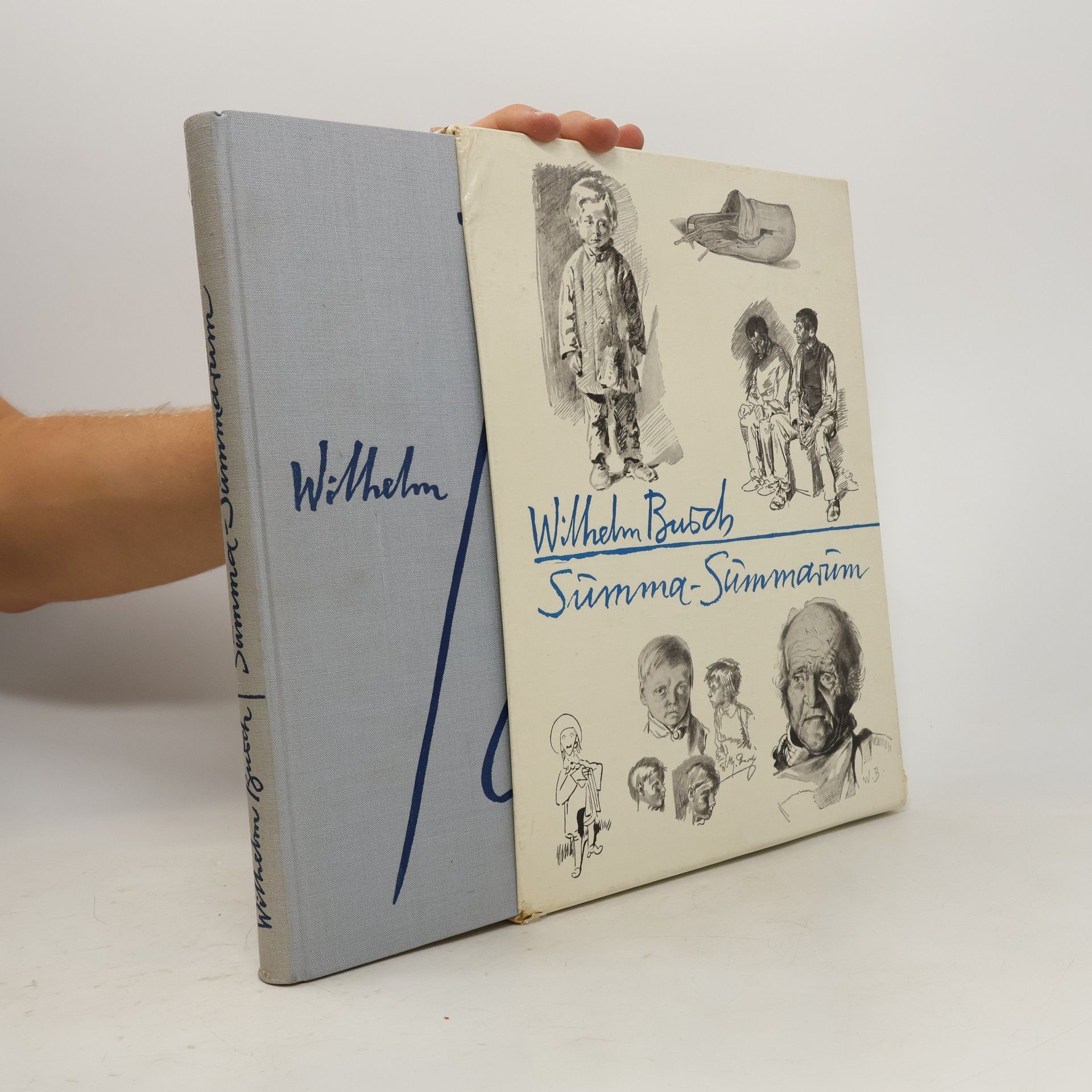 Wilhelm Busch Summa Summarum