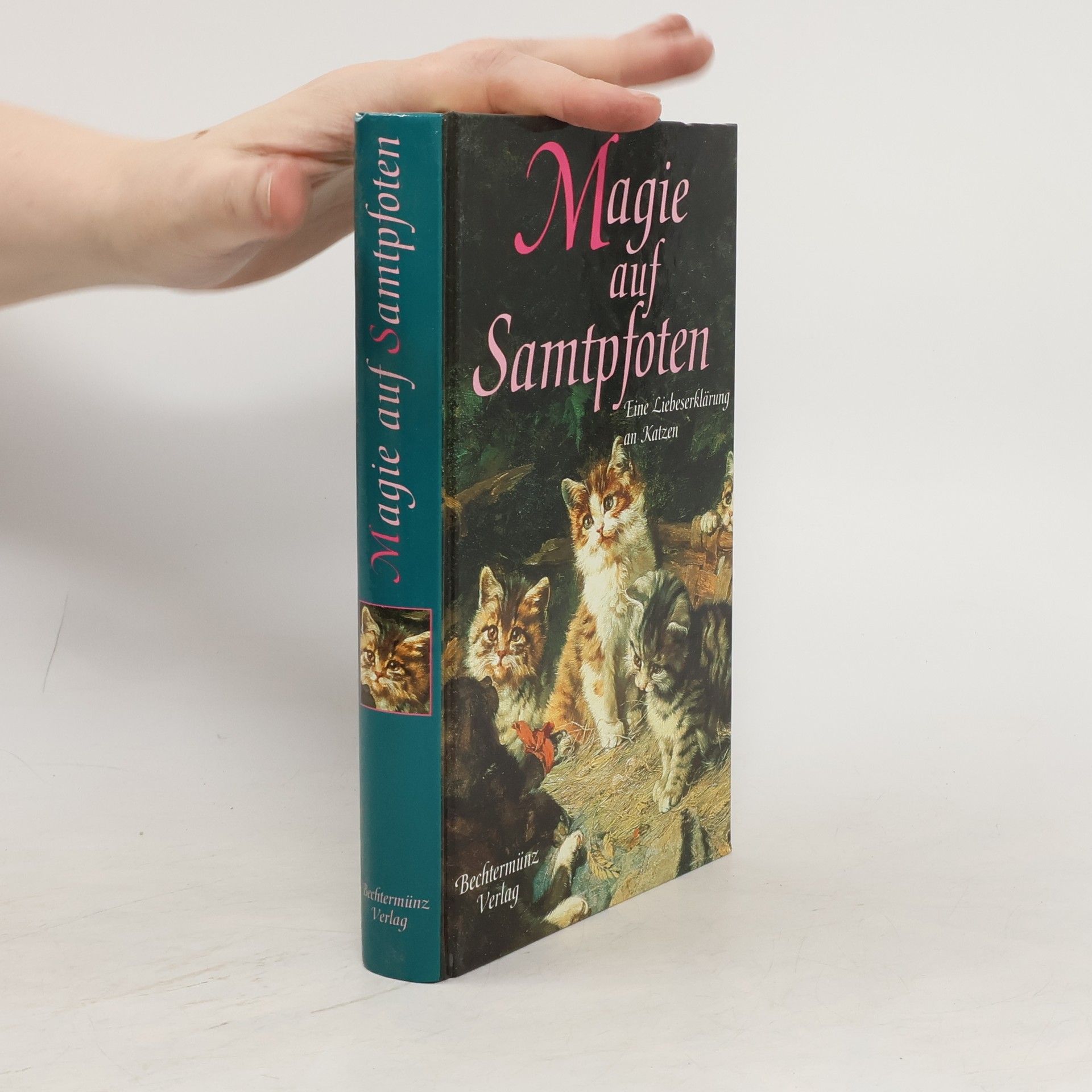 kolektiv Magie auf Samtpfoten