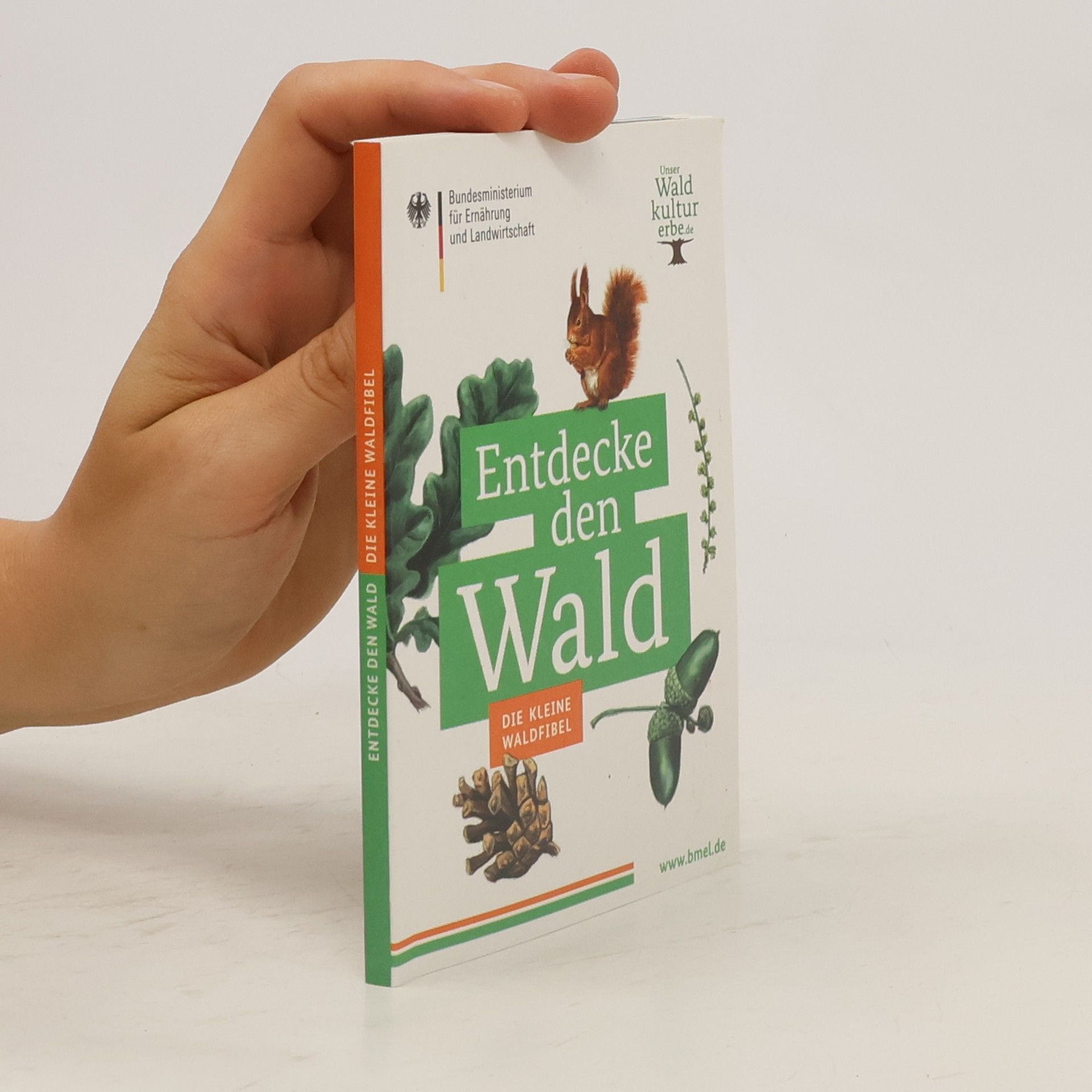 Autorenkollektiv Entdecke den Wald