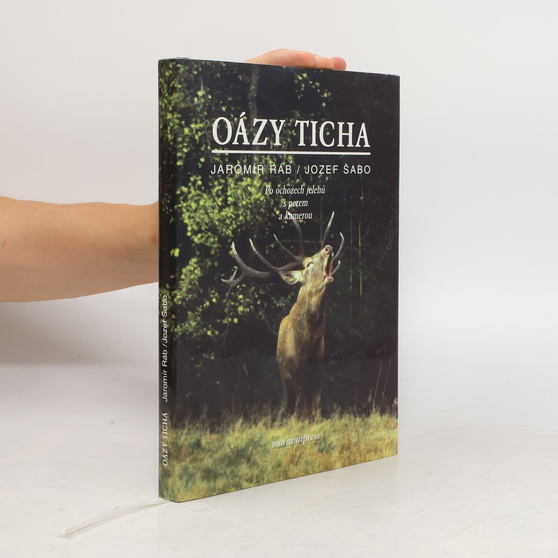 Jaromír Ráb Oázy ticha