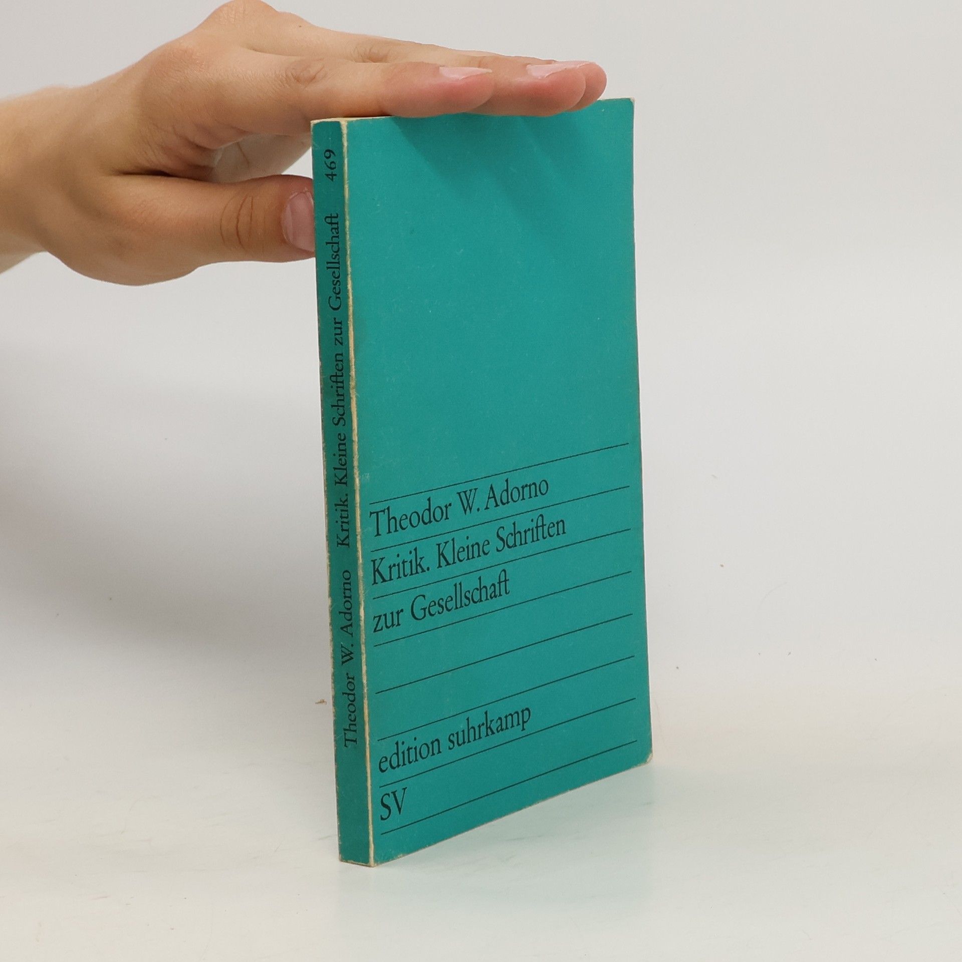 Theodor W. Adorno Kritik. Kleine Schriften zur Gesellschaft
