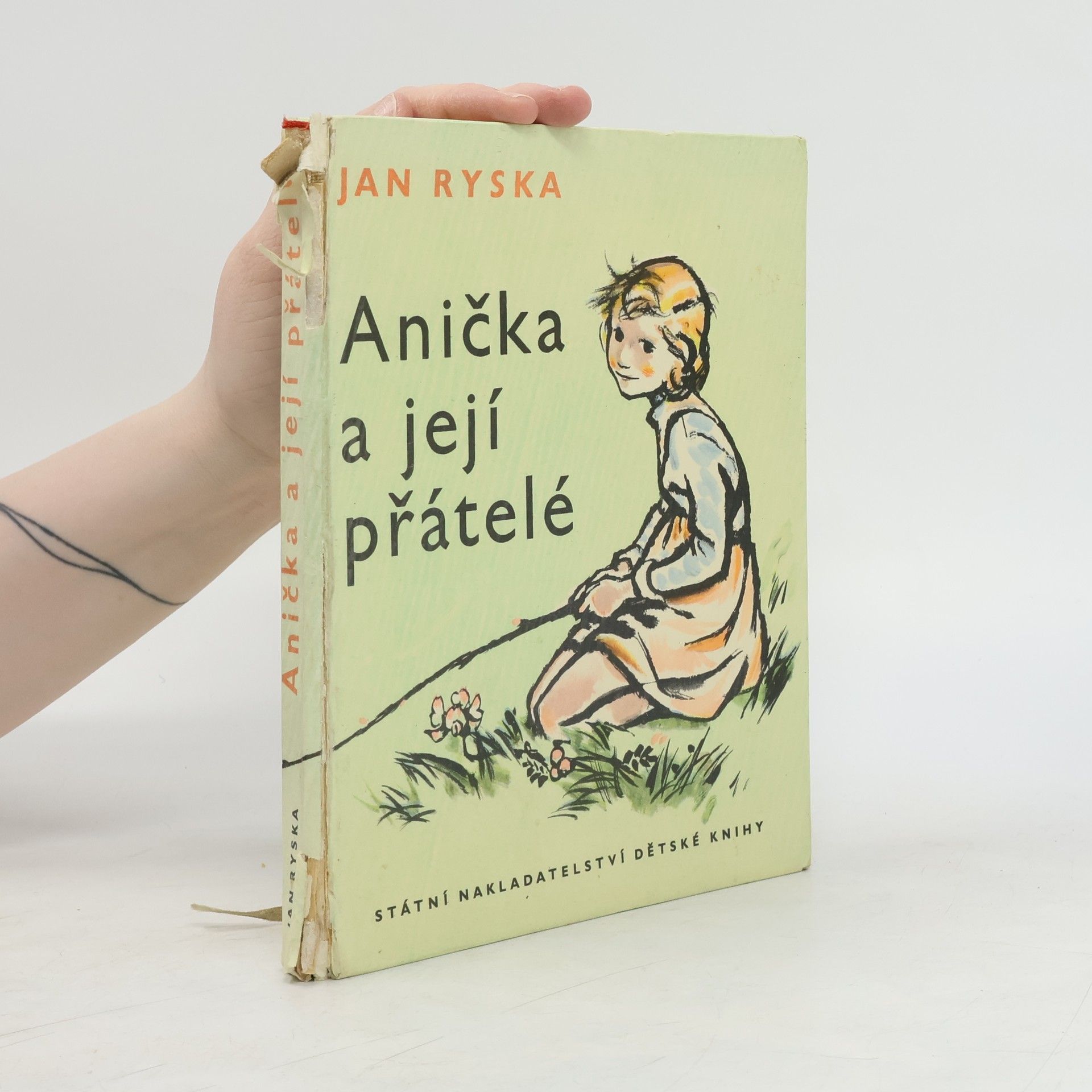 Jan Ryska Anička a její přátelé