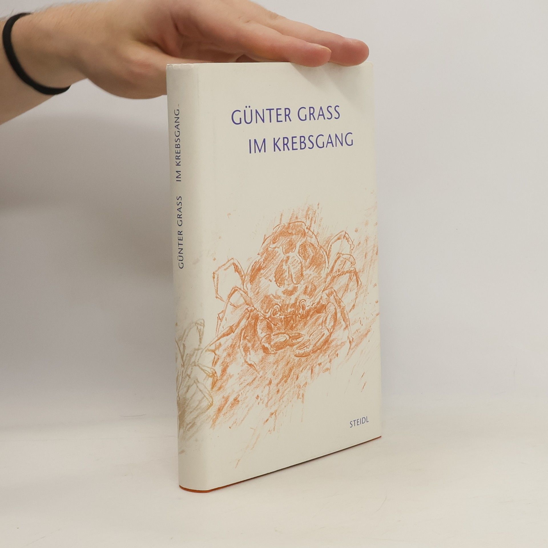 Günter Grass Im Krebsgang : eine Novelle